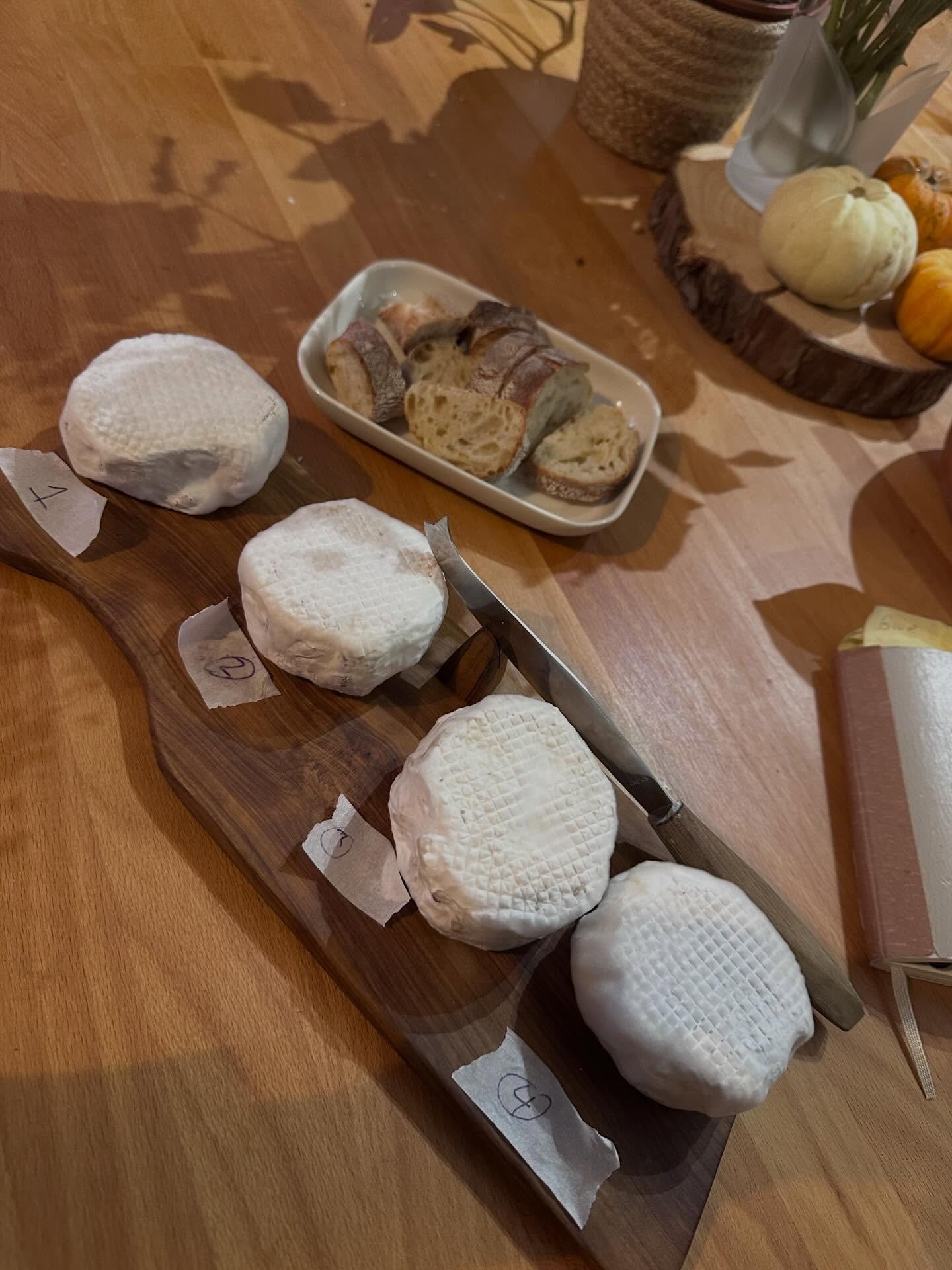 Today was a great testing session 🧀 🥖 

Four different culture blends on homemade baguette. It was a very serious (but very fun) tasting table. Same base recipe with different vibes. All were creamy, some were punchy, some were&hellip; &ldquo;ambit