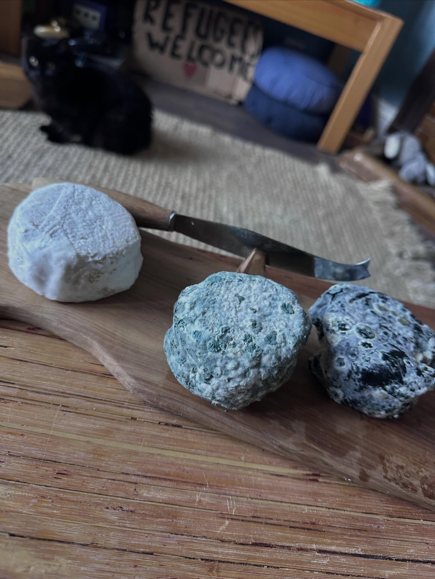 Cheese before France, obviously 🧀🇫🇷

Today&rsquo;s agenda: cheese tasting on the new board (a Christmas gift from Cono that I&rsquo;m very pleased with). We&rsquo;ve got one truffle Camembert aka Trufflebert, plus two blues. Both Moon variants. On