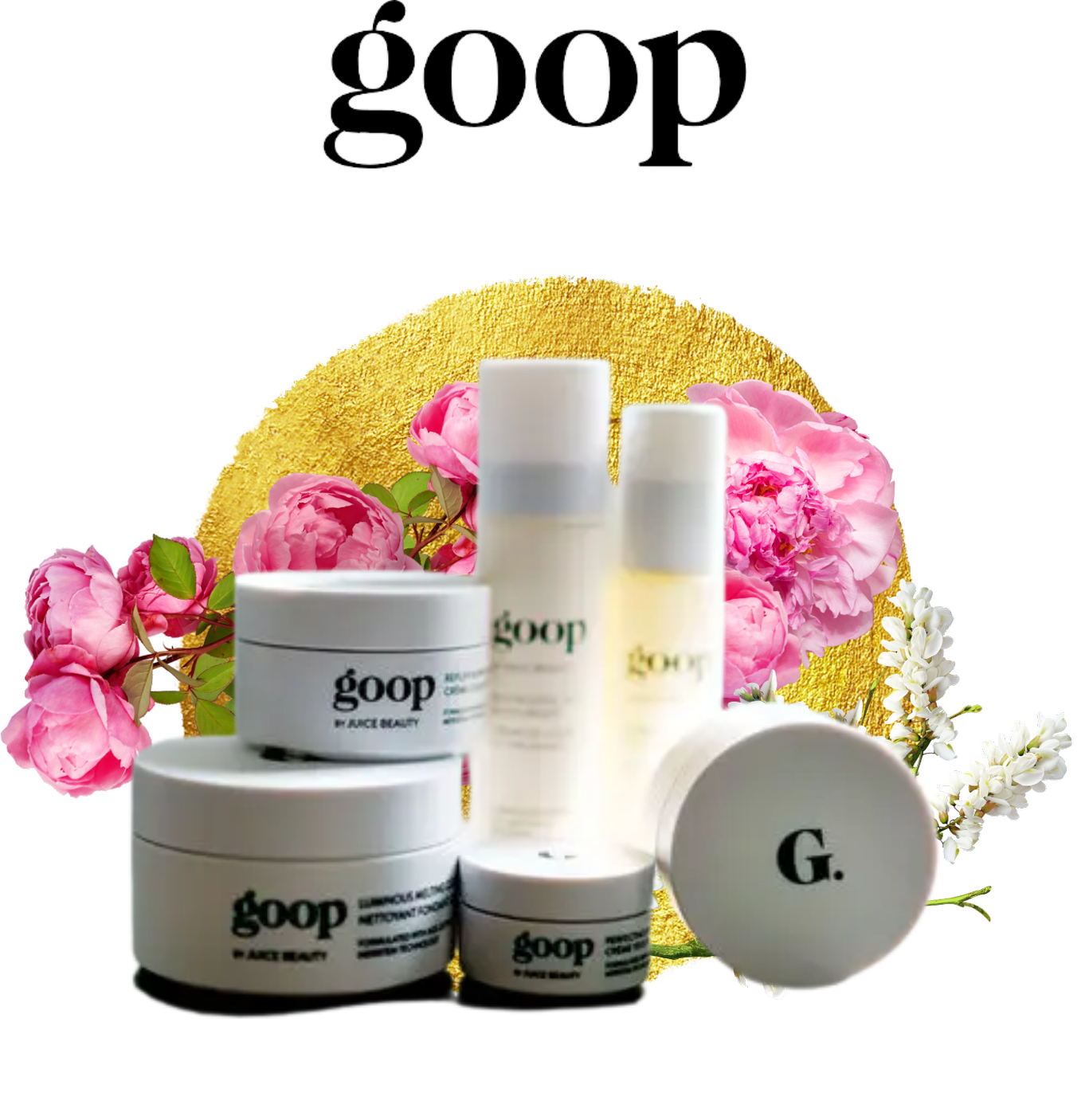Wellness Arsenal | Enhance Your Well-Being Today — Dr. Lisa Cooney ...