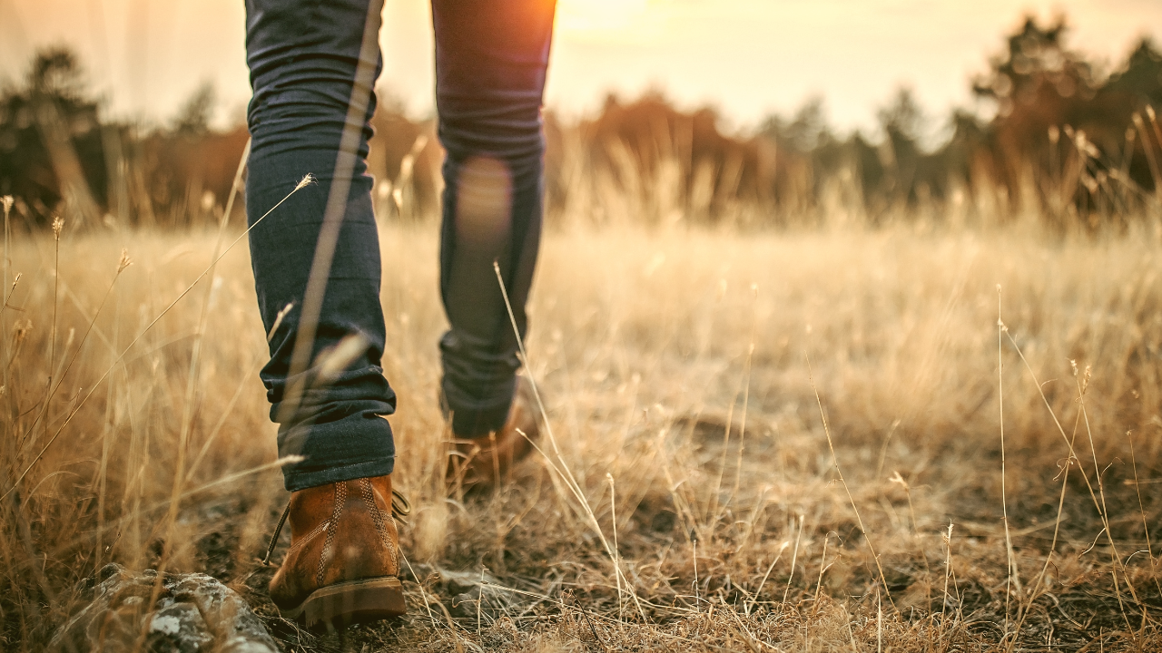 When Masculinity Wounds the Soul—And How We Reclaim Our Power