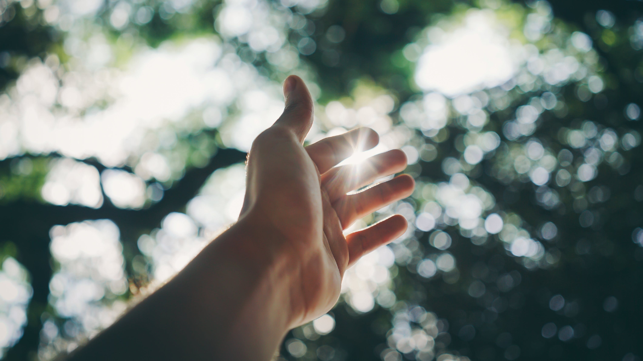 6 Keys To Unlock Yourself From Conflict (And The Trauma Response)