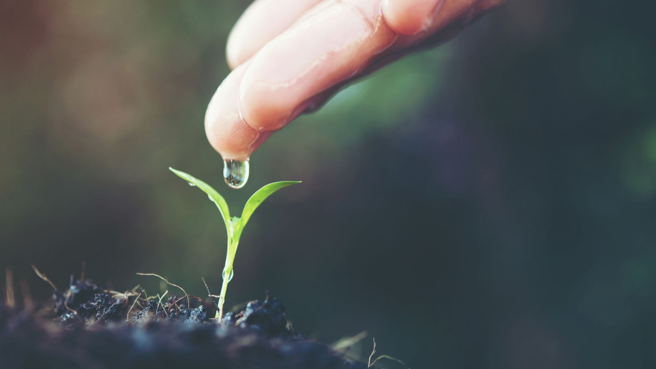 Life After Abuse (Part 1): When Abuse Rears Its Ugly Head By Dr. Lisa Cooney