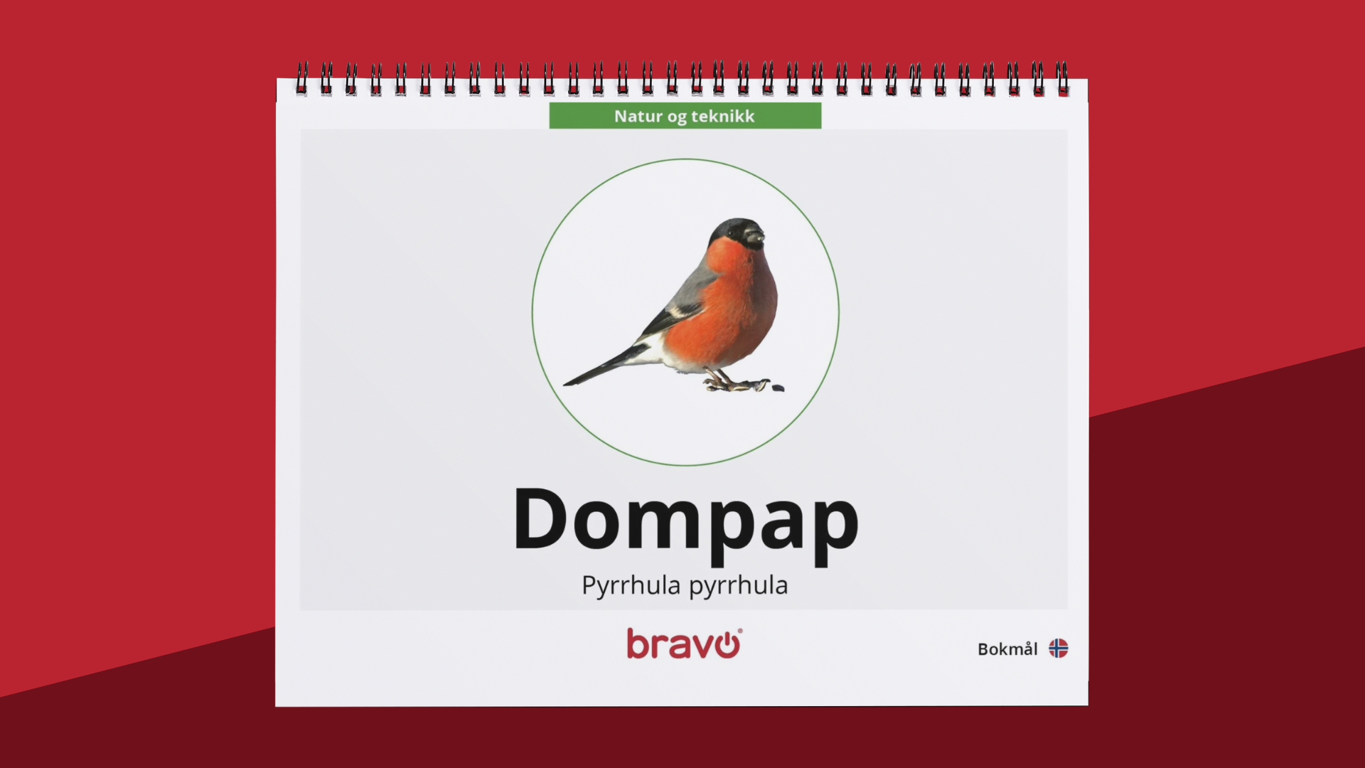 Maxibok - Dompap - PDF