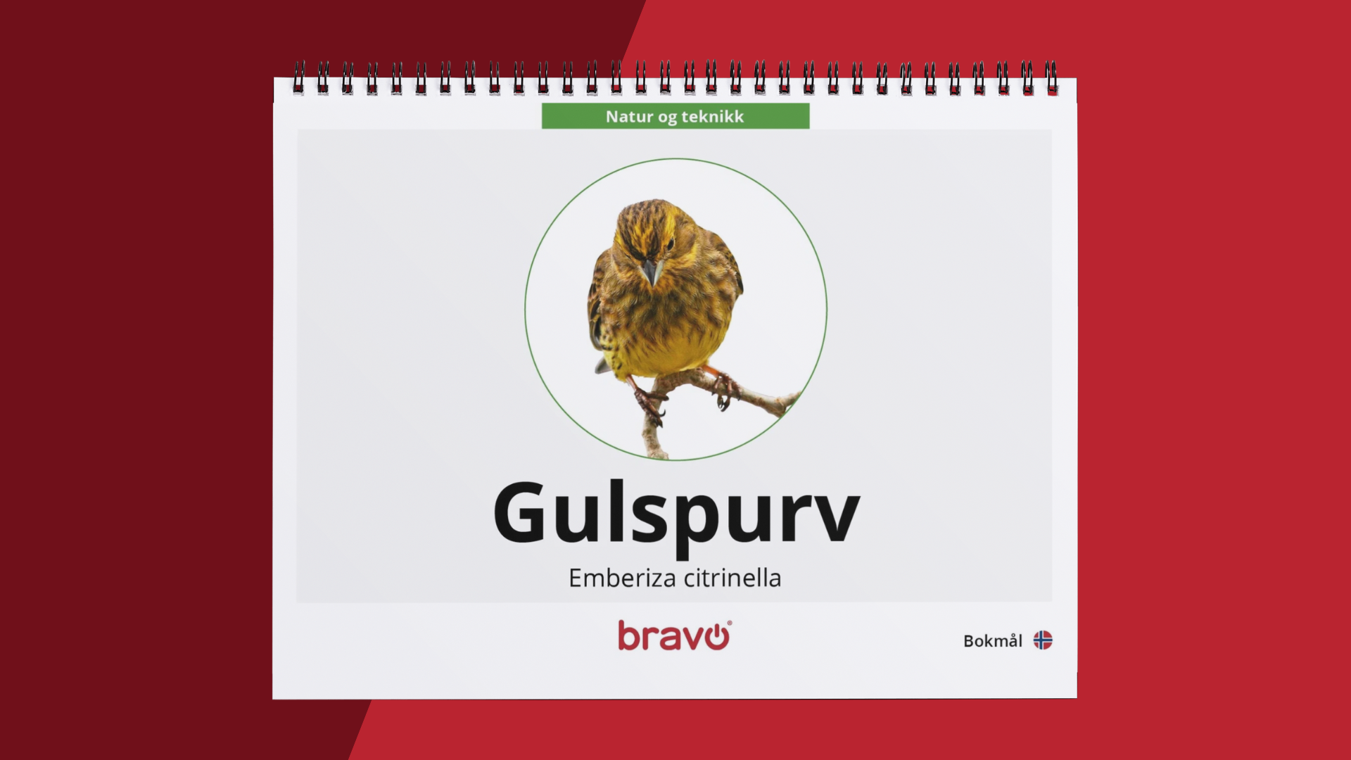 Maxibok - Gulspurv - PDF 