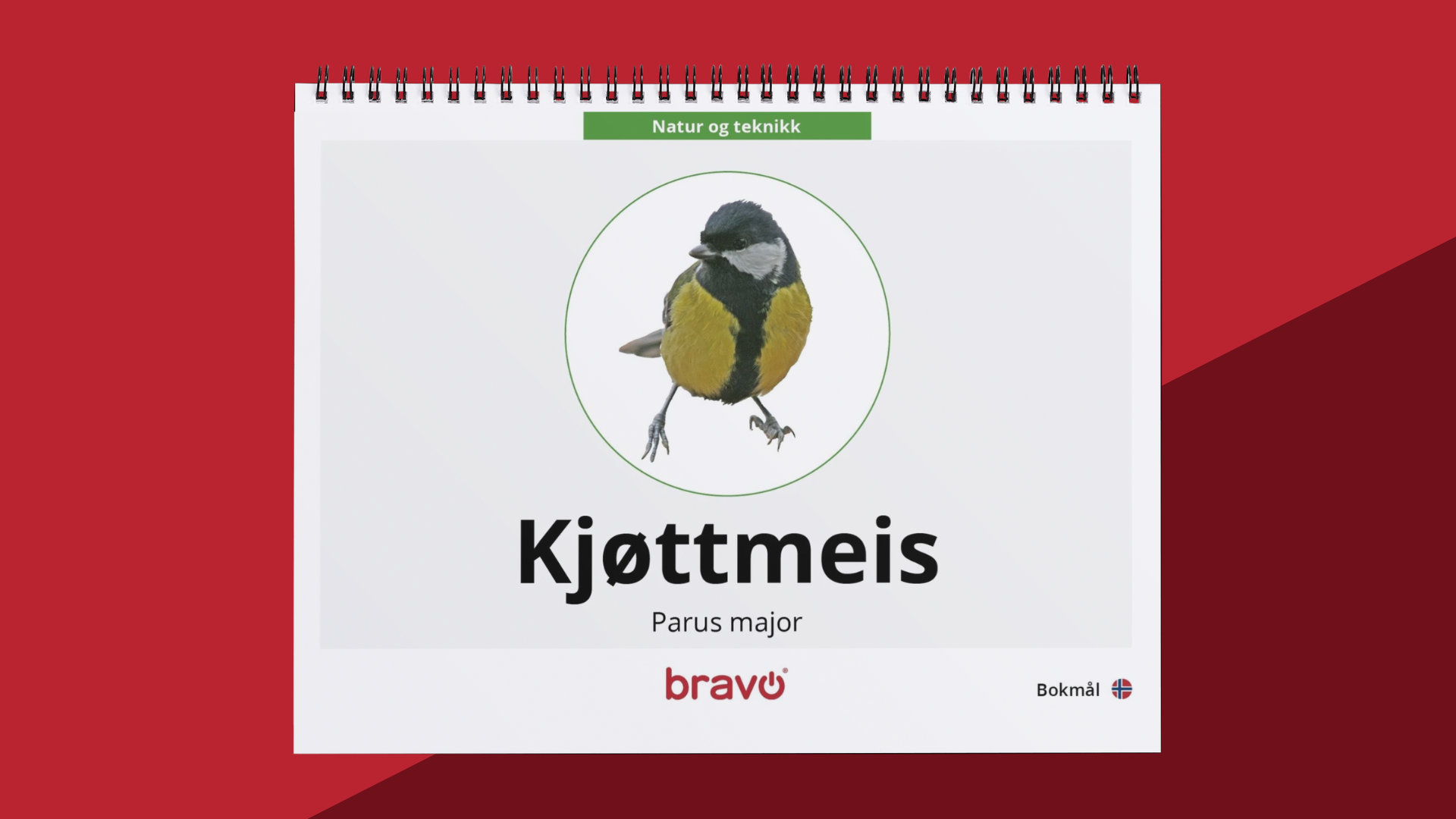 Maxibok - Kjøttmeis - PDF