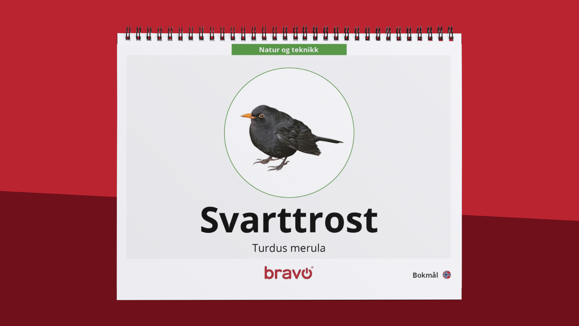 Maxibok - Svarttrost - PDF