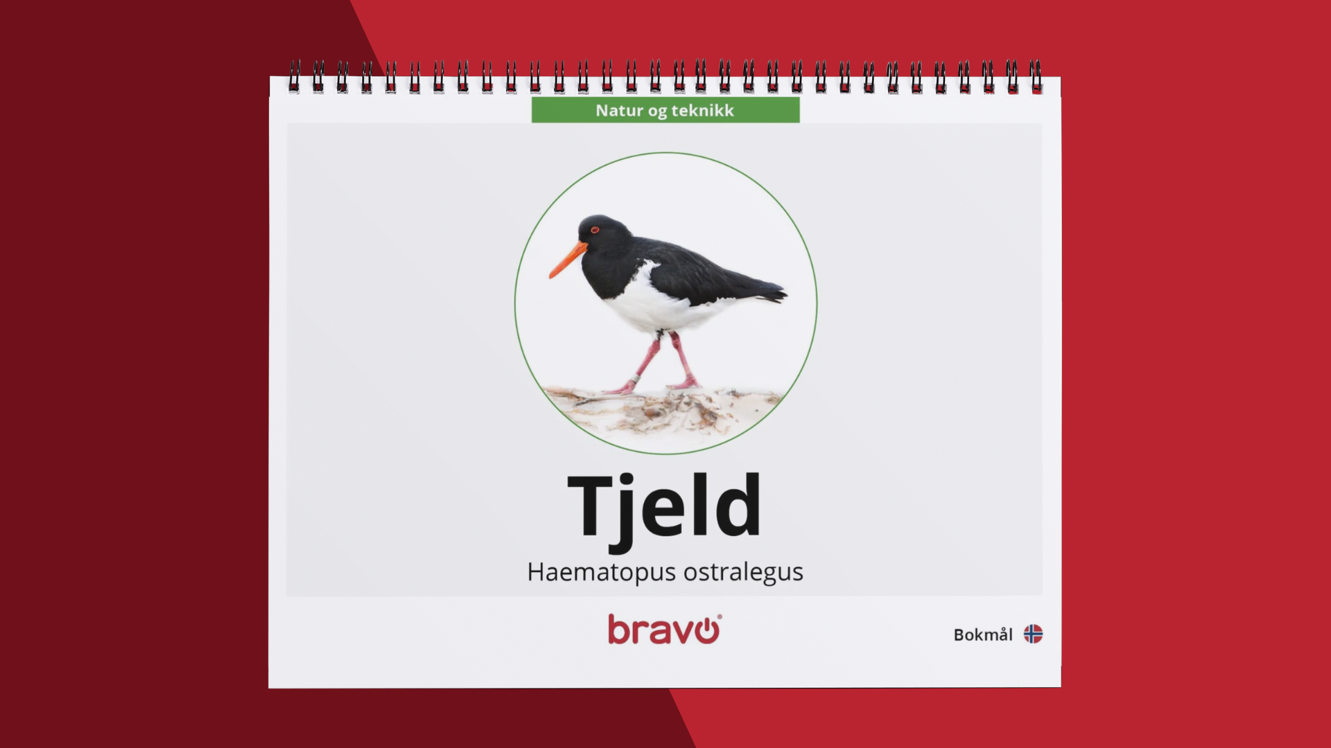 Maxibok - Tjeld - PDF