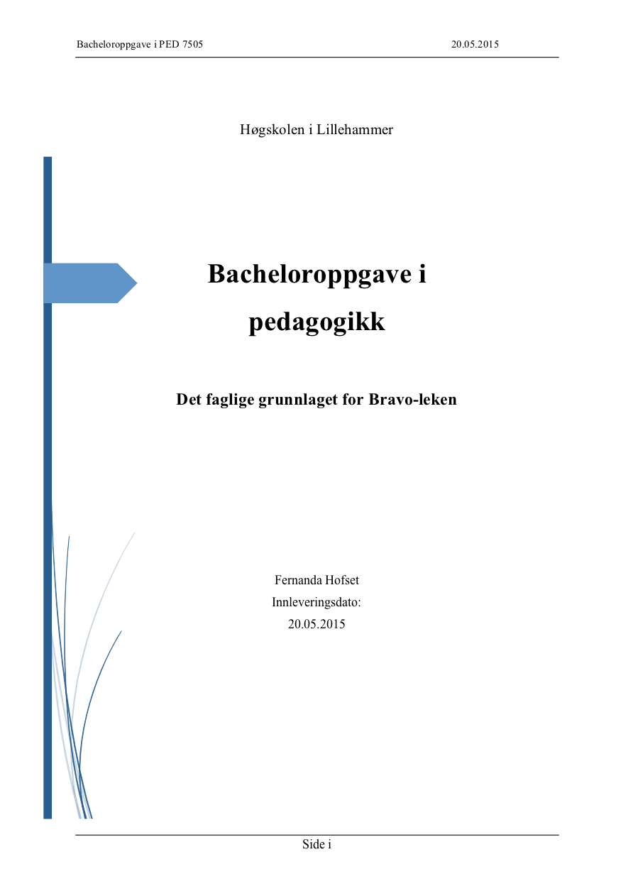 Bacheloroppgave Fernanda Hofset 2015_1.png