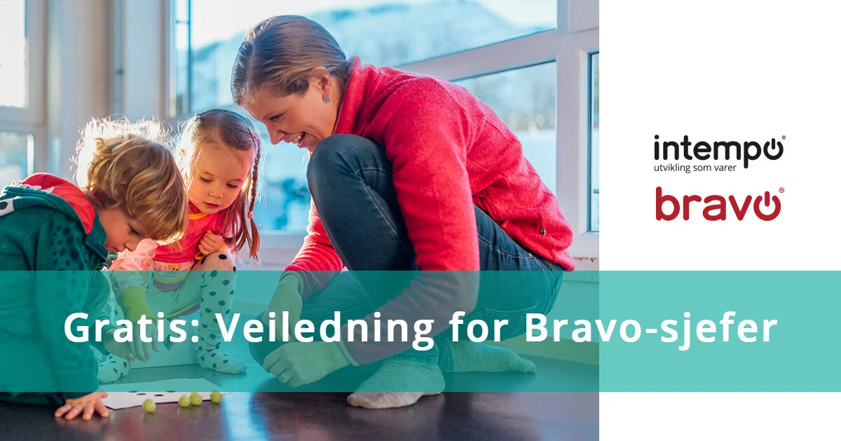 Gratis: Veiledning Bravo-sjefer 