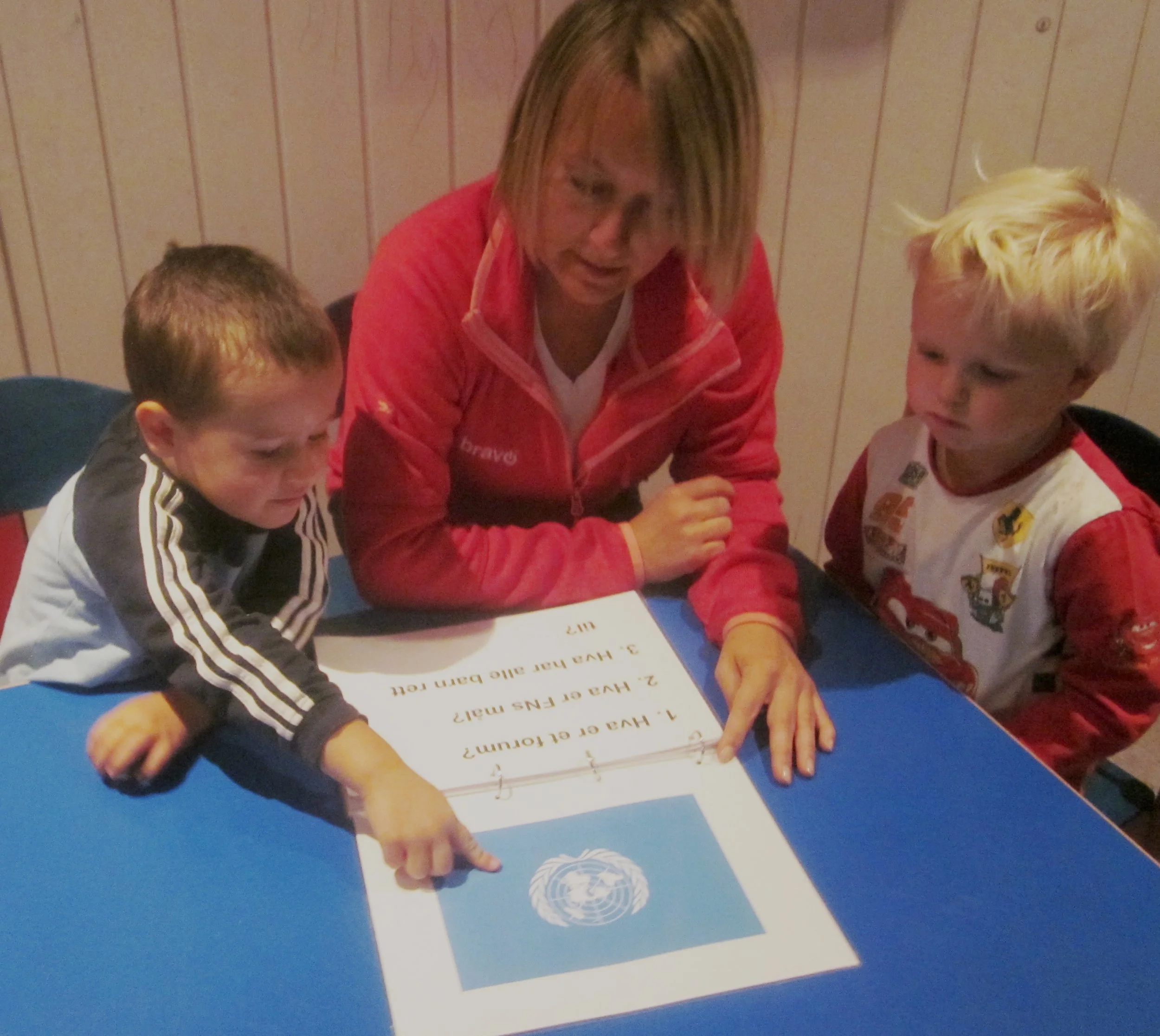 vi ser på fnflagget.jpg