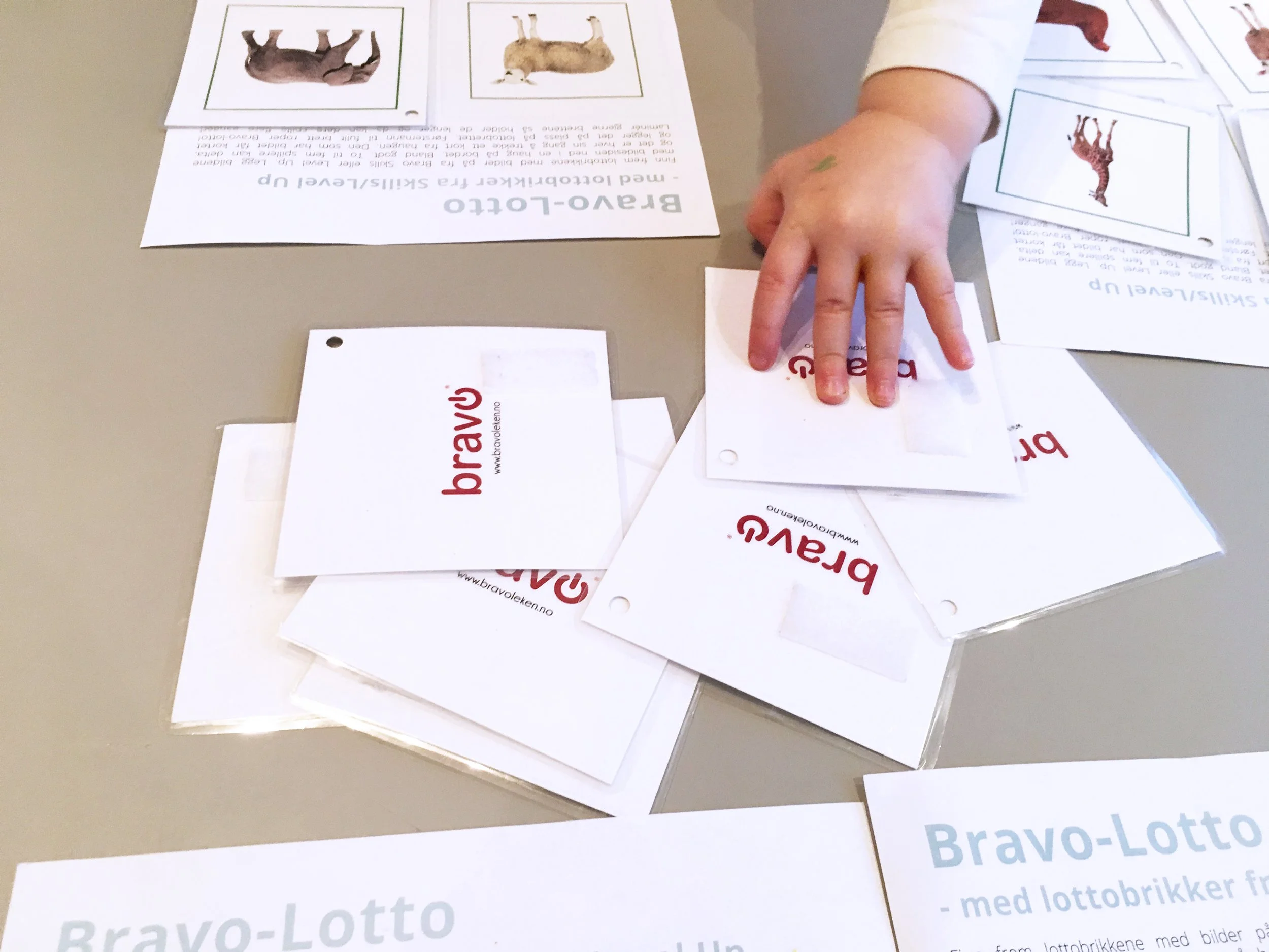 Last ned: Spillbrett til dyrelotto med Bravo-kortene