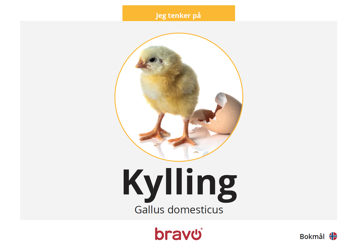 Last ned: Bravo Maxibok - kylling