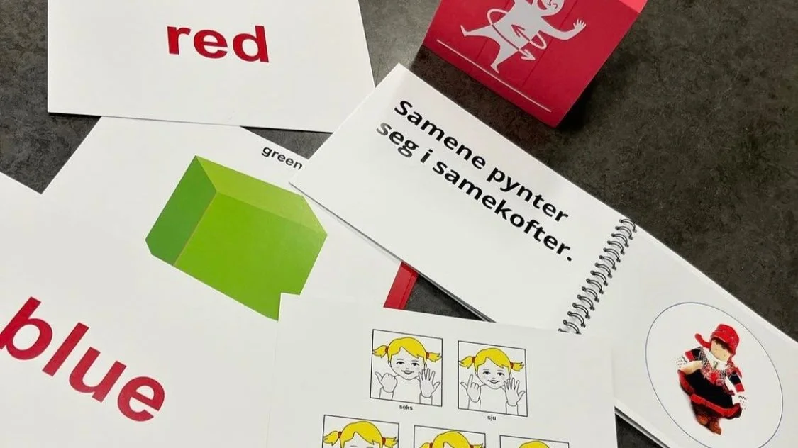 Bravo temasamling: Samenes nasjonaldag