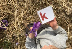 krokus.jpg