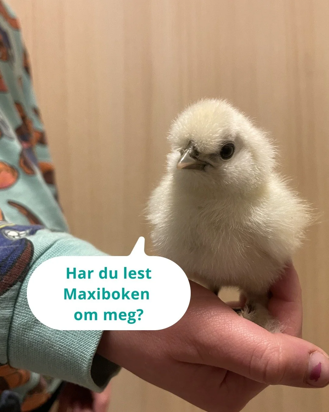 Ta en tur innom ressursbanken v&aring;r p&aring; bravoleken.no/ressursbank og last ned Maxiboken om kylling. En koselig liten bok som er perfekt n&aring; f&oslash;r p&aring;ske!

#kylling #enlitenkylling #bravoleken #p&aring;ske