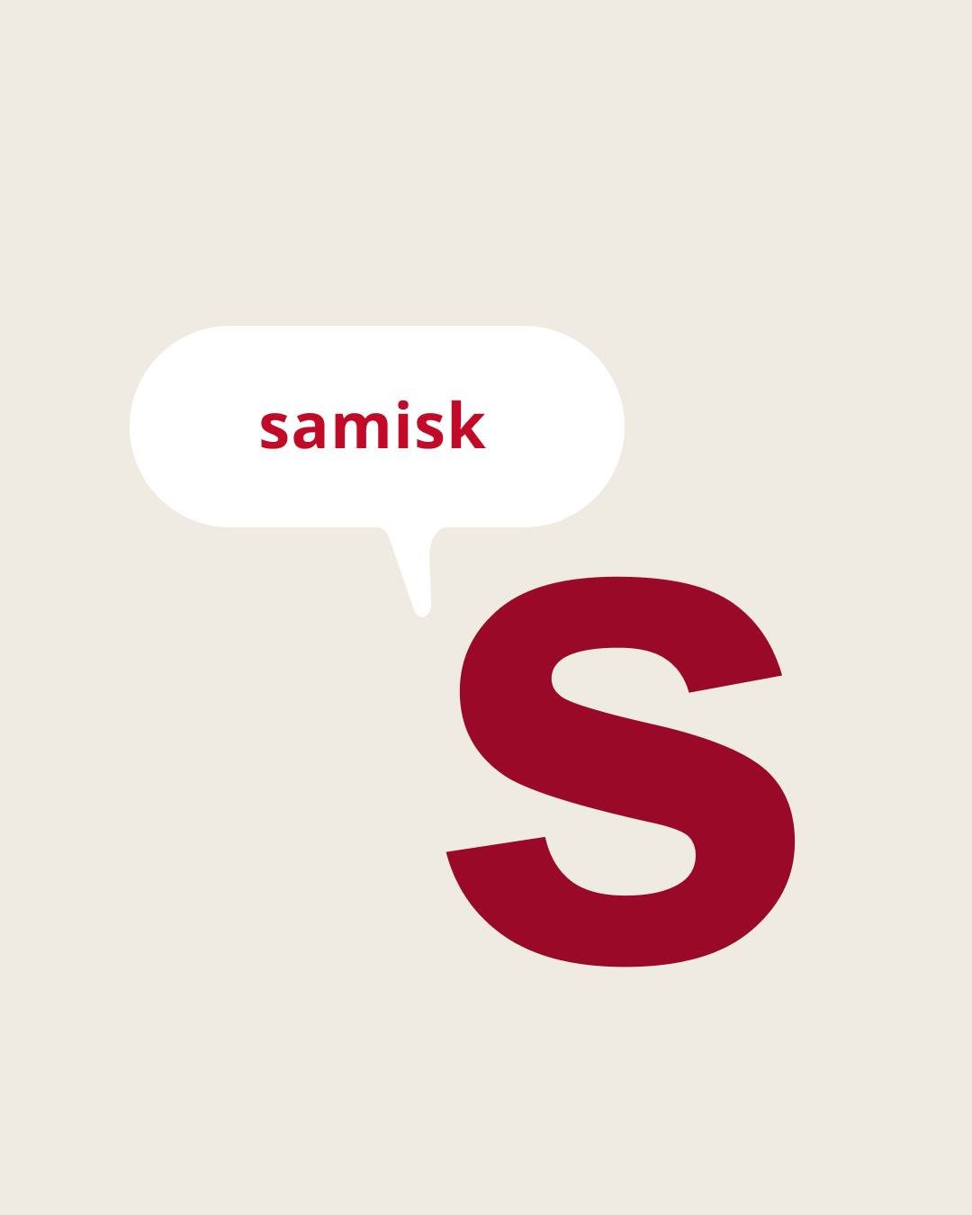 Denne uken markeres den samiske spr&aring;kuka "Giellavahkku", og hva passer vel bedre enn &aring; dele noen av de f&oslash;rste erfaringene fra prosjektet &laquo;Trygghet og mestring med Bravo-leken p&aring; samisk&raquo;?

H&oslash;sten 2