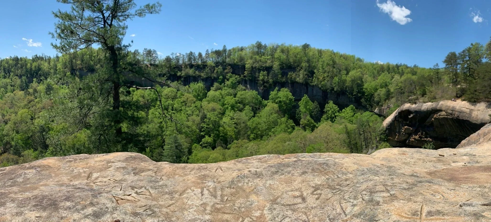 Hiking vista - Kentucky