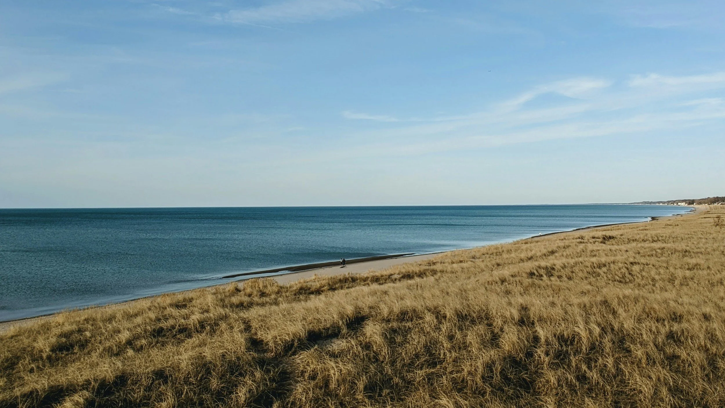 Empty sandy beach with golden grass in the foreground and calm blue ocean waters stretching to the horizon. Clear blue sky overhead with wispy clouds.