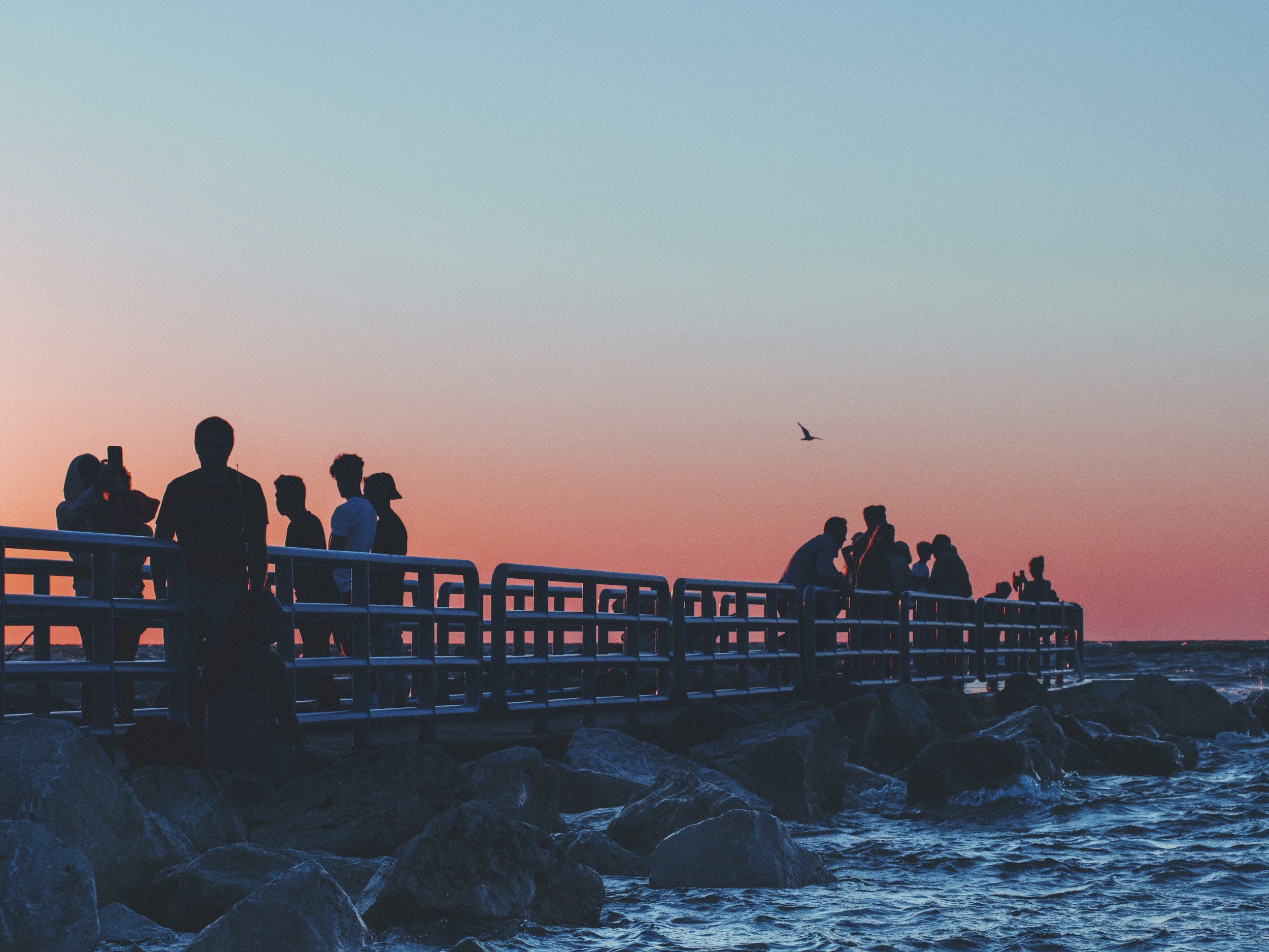 People silhouette on a rocky pier during sunset with a bird flying overhead and the ocean in the background.