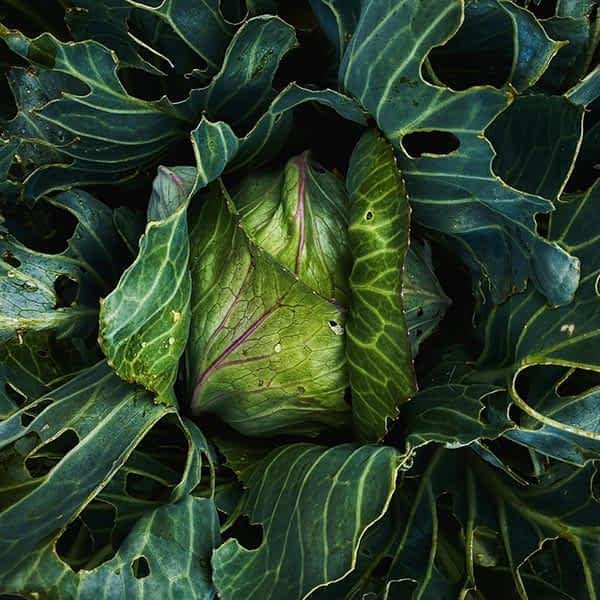 Foods That Boost Energy Naturally
