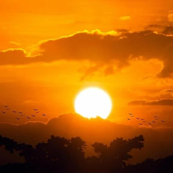 Vitamin D: Not Just Important for Bone Health