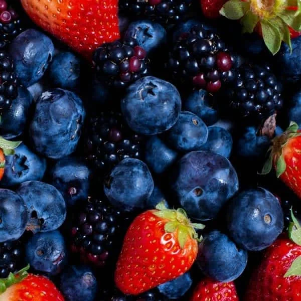 Top 5 Gut Health Foods You Should Eat