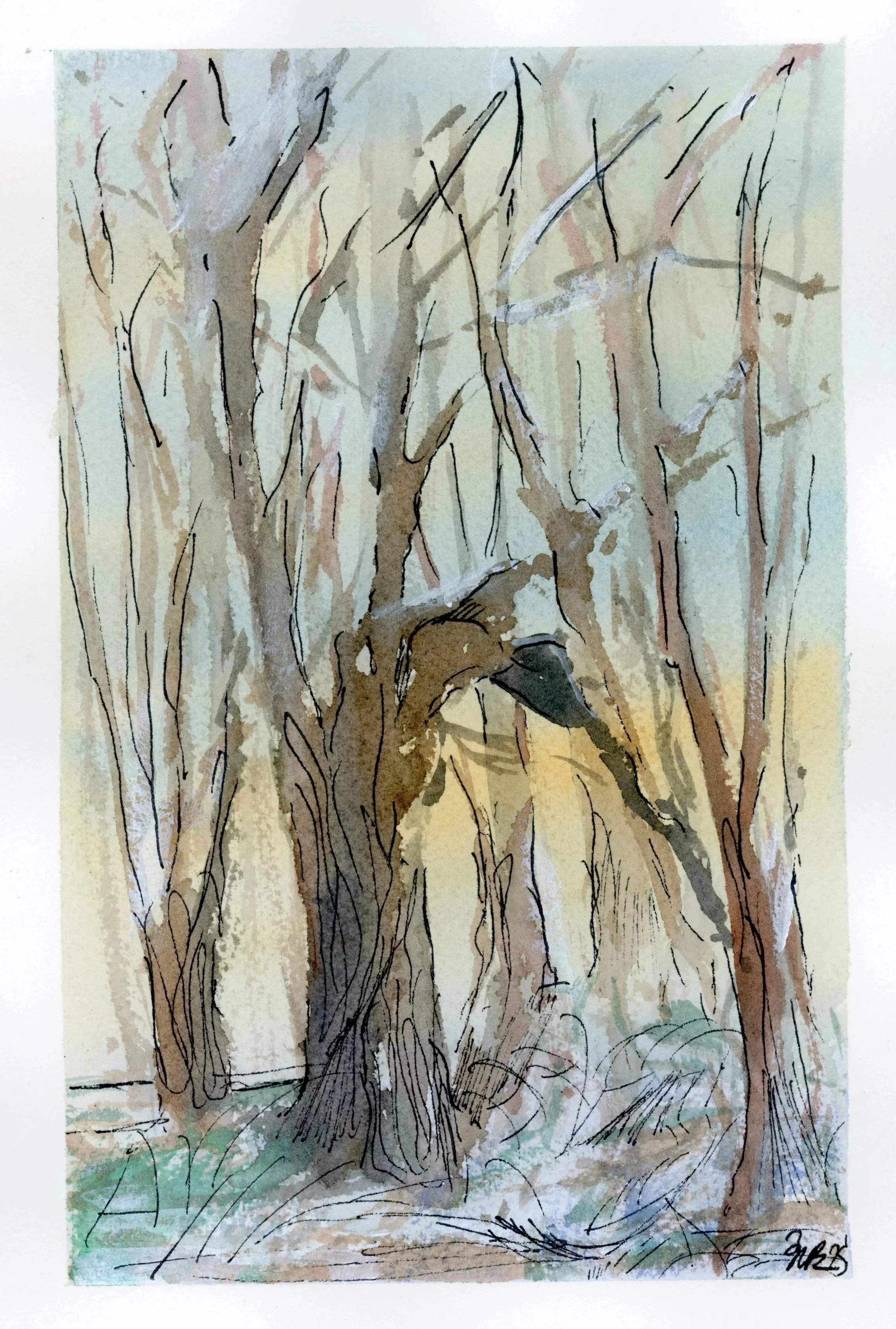 Winter Woods Sketch, Watercolor and Ink 4x6" 