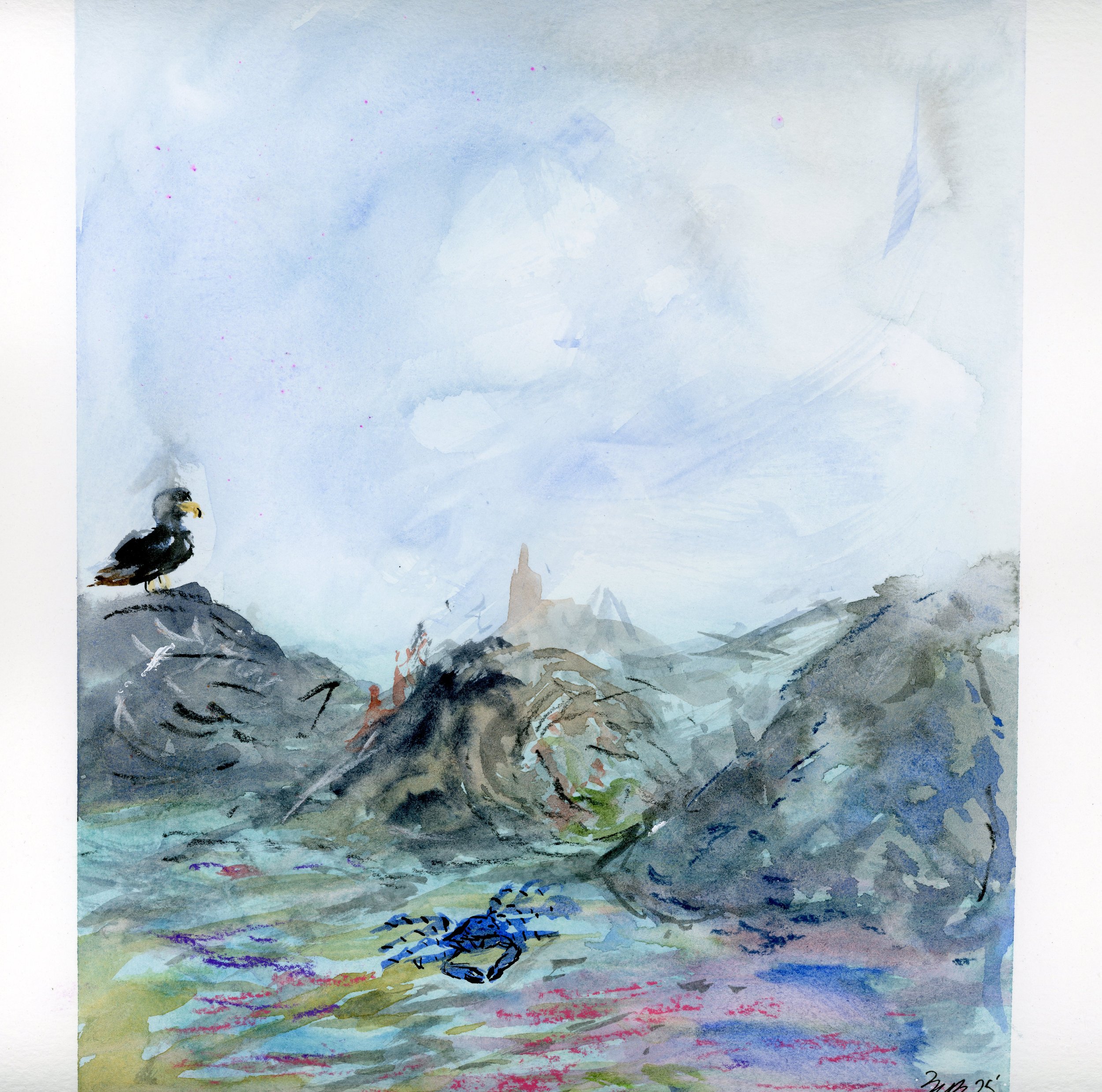 crab and bird 005.jpg