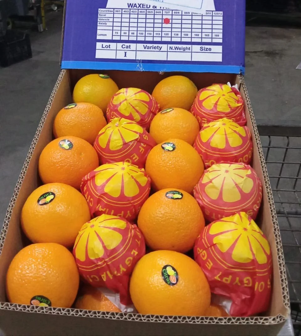 A cardboard box containing 15 oranges, some wrapped in red and yellow packaging, with a color chart and weight/size information on a blue label on top.