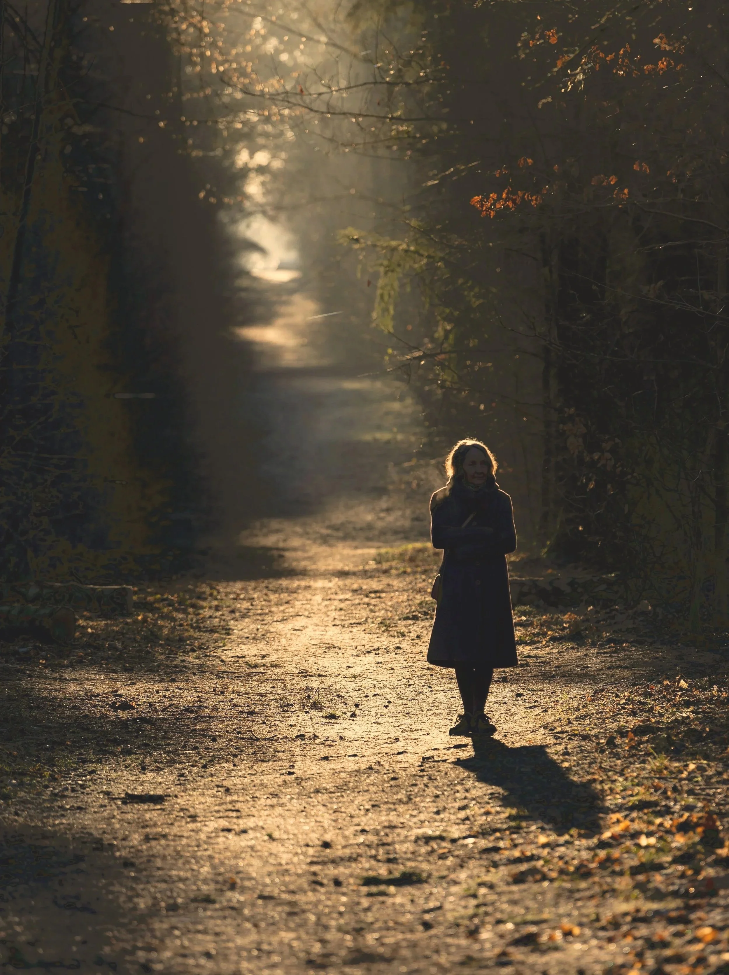 Person walking on a wooded path in late afternoon light