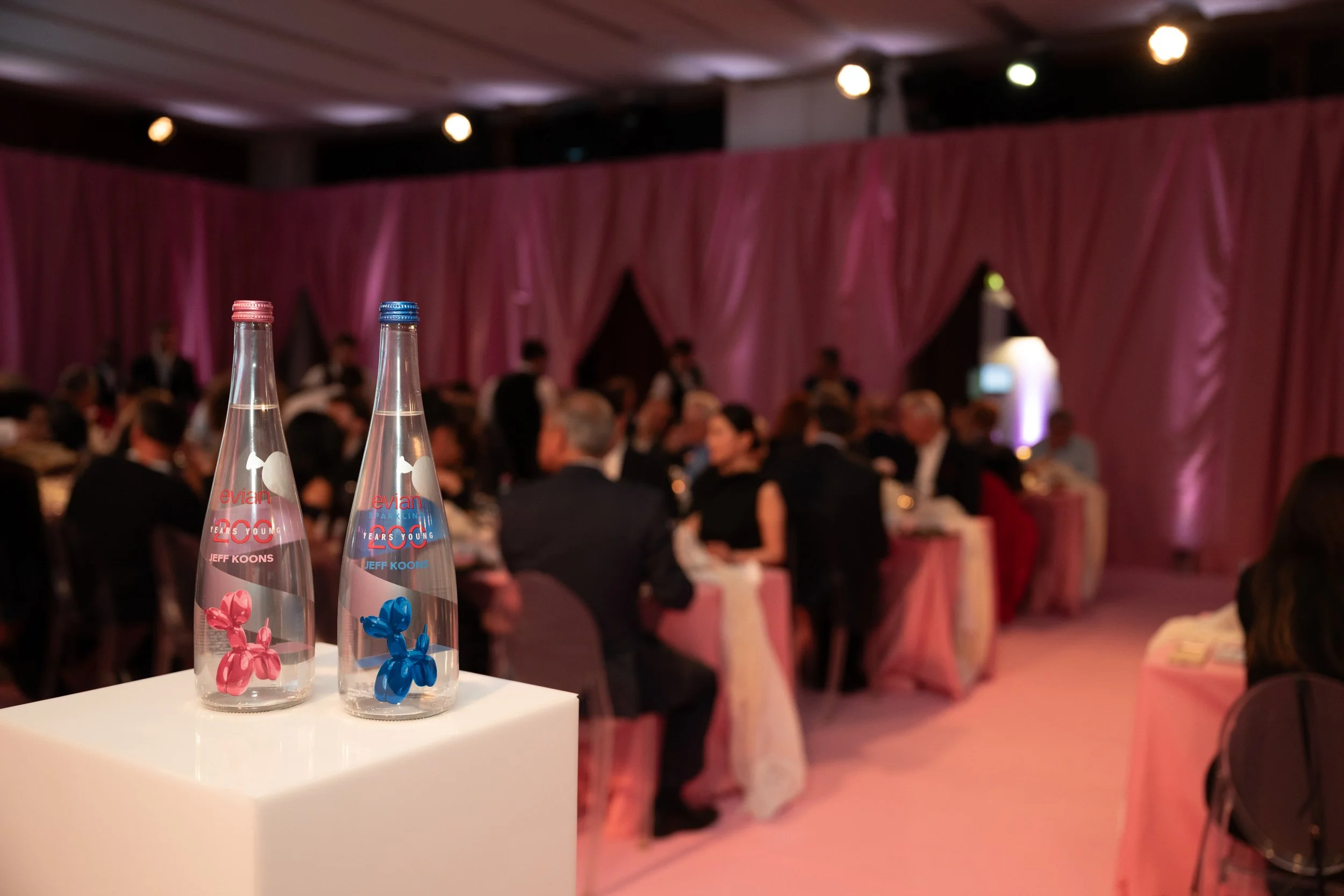 photographe-evian-200ans - soirée - Event Picture.jpg