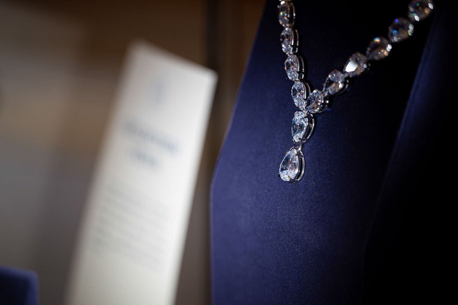 Photographe-gala-vernissage-geneve-7.jpg