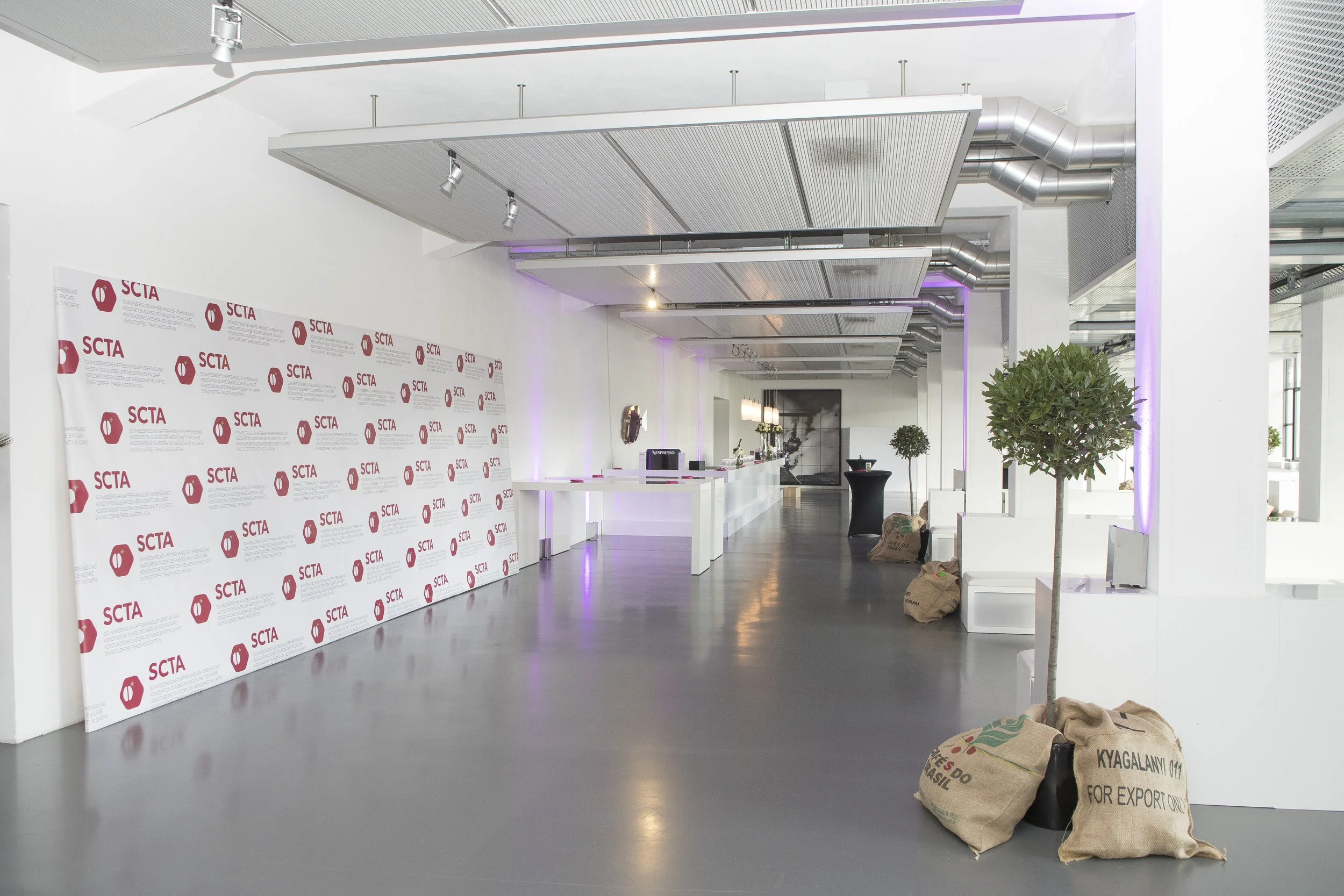 Intérieur d'une salle moderne avec comptoir blanc, plantes vertes, sacs en toile à proximité, un mur avec logo SCTA en arrière-plan, éclairage subtil violet, bureaux et espaces d'accueil élégants.