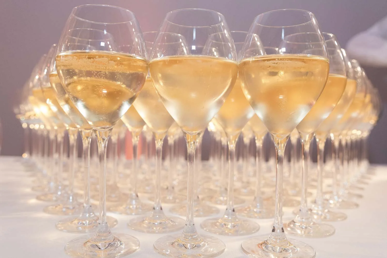 Photographe-cocktail-networking-geneve-3.jpg