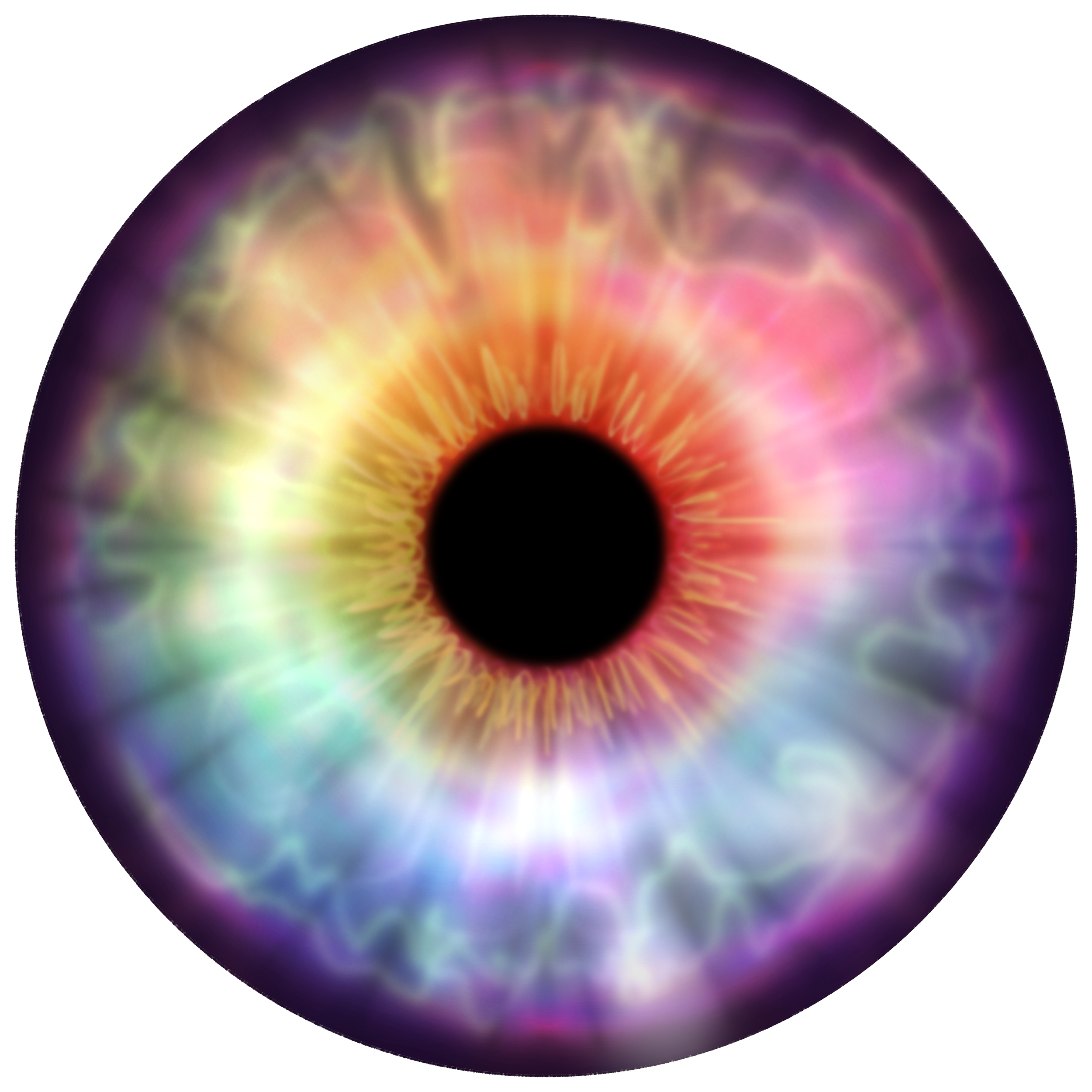 IMG_0289.PNG
