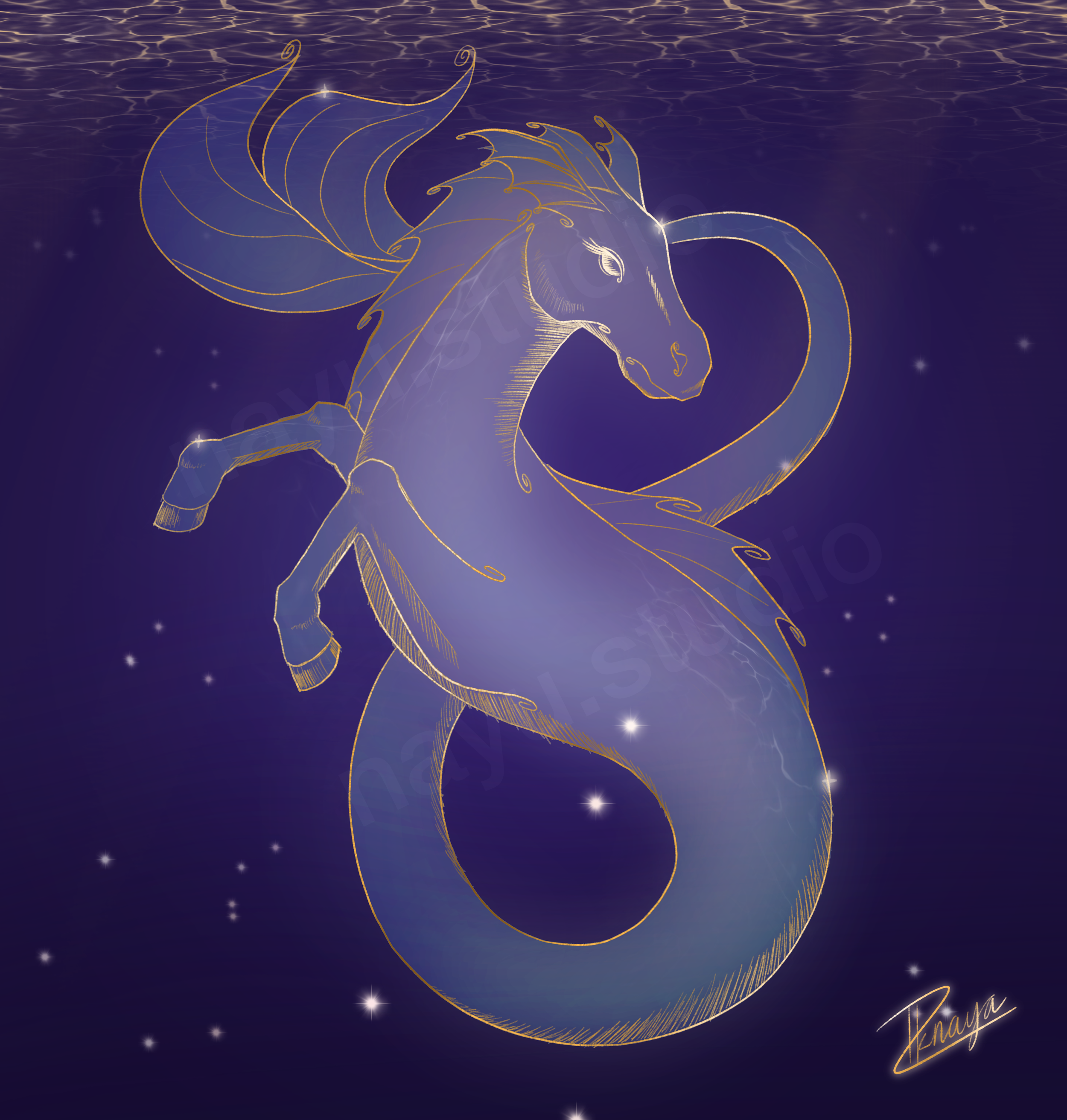 Hippocampus - 14th Sept. 2026