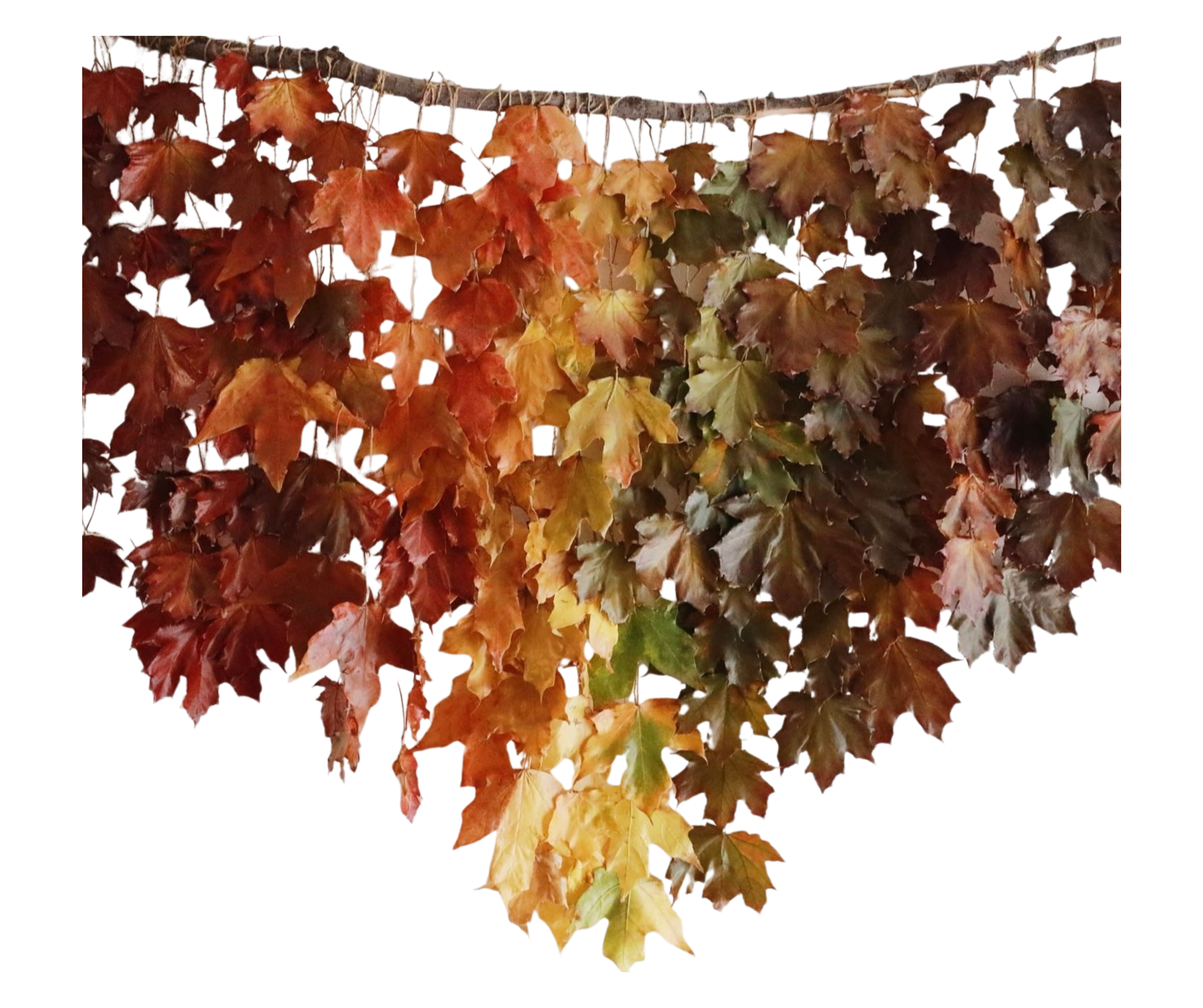 mateskon student work (9).png