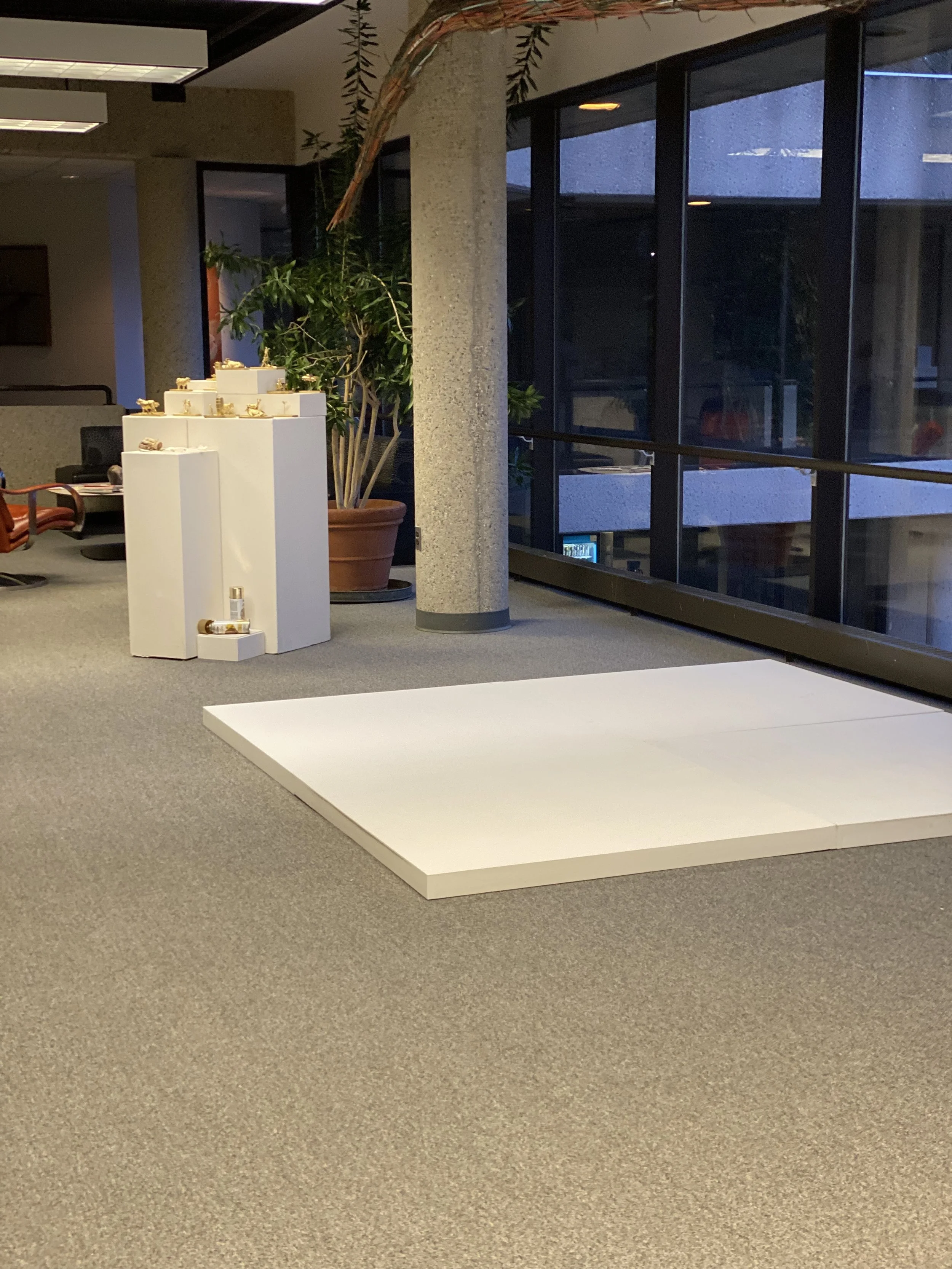 beth mateskon bfa set up aquinas college.jpg