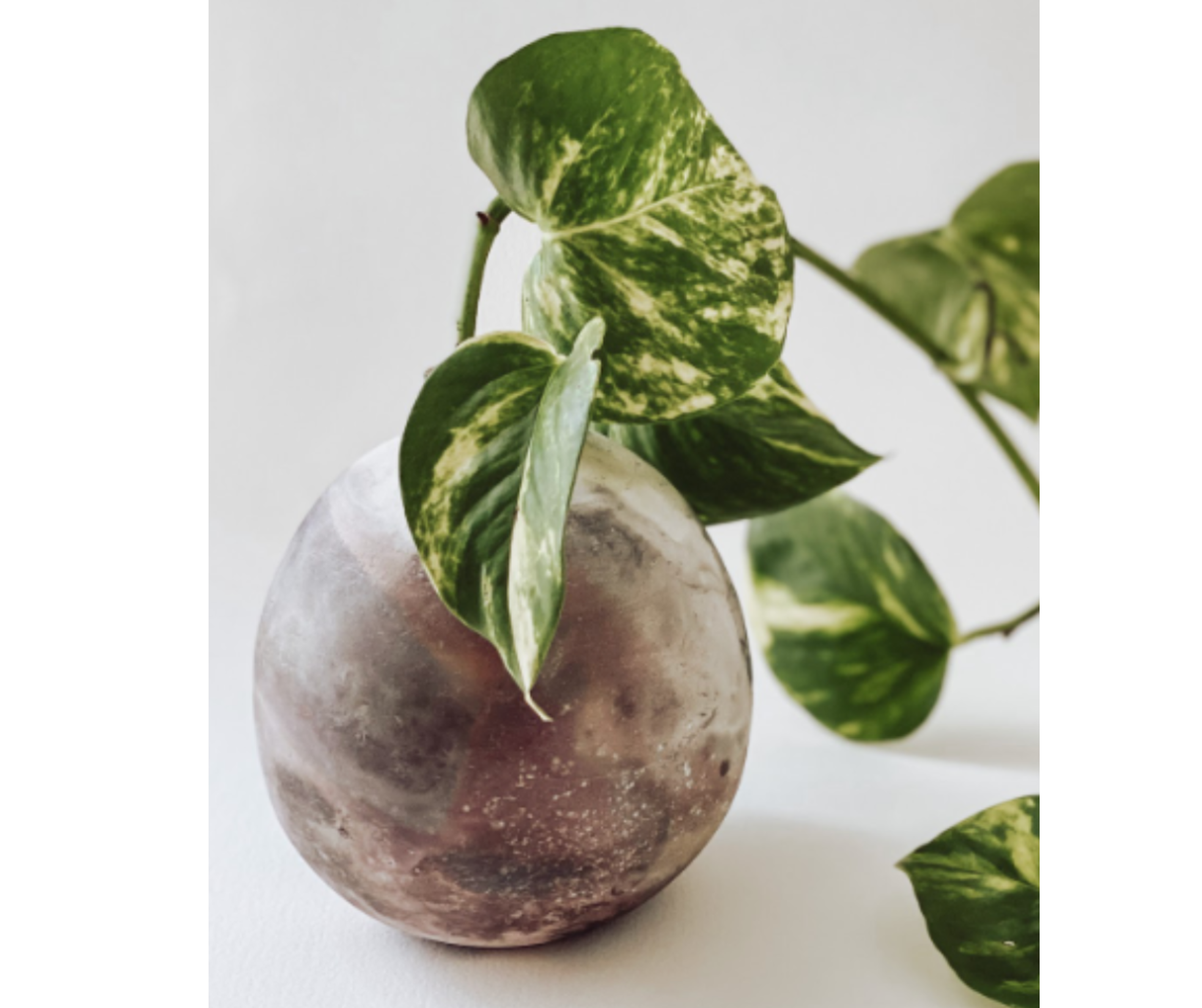 mateskon student work (6).png