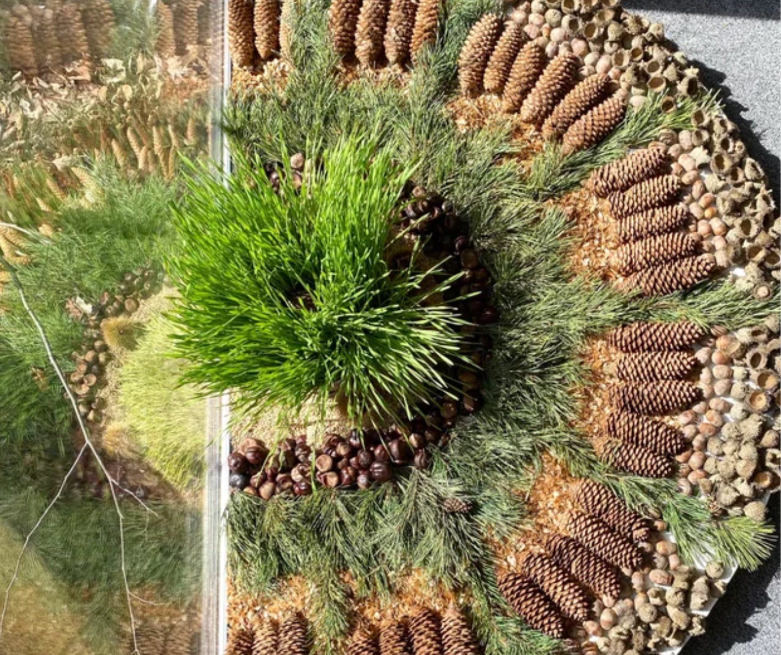 mateskon student work (26).png