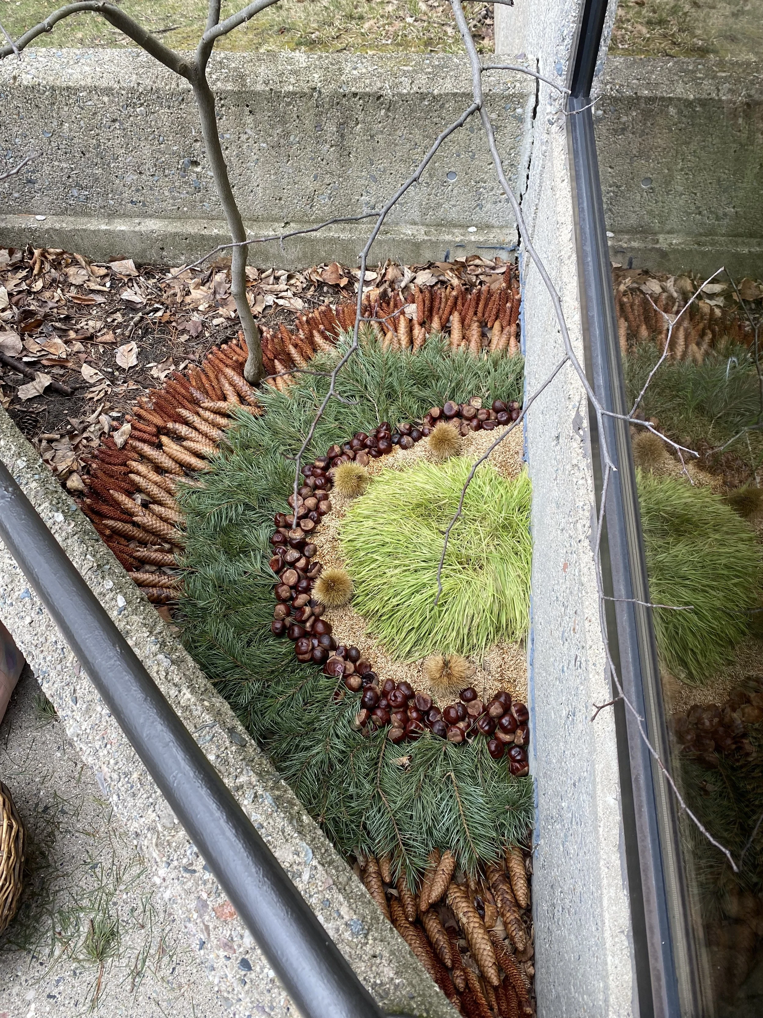 Beth Mateskon Nature Mandala Outsdide BFA Exhbition Aquinas College.jpg