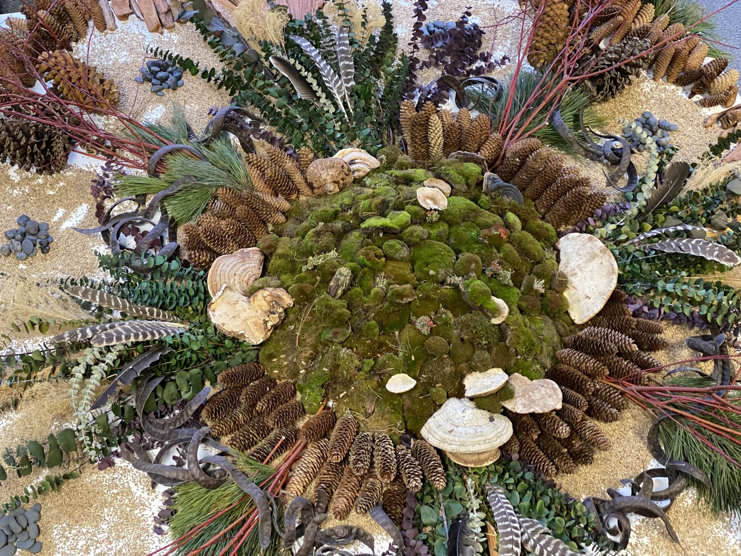 Beth Mateskon Nature Mandala Aquinas College.jpg