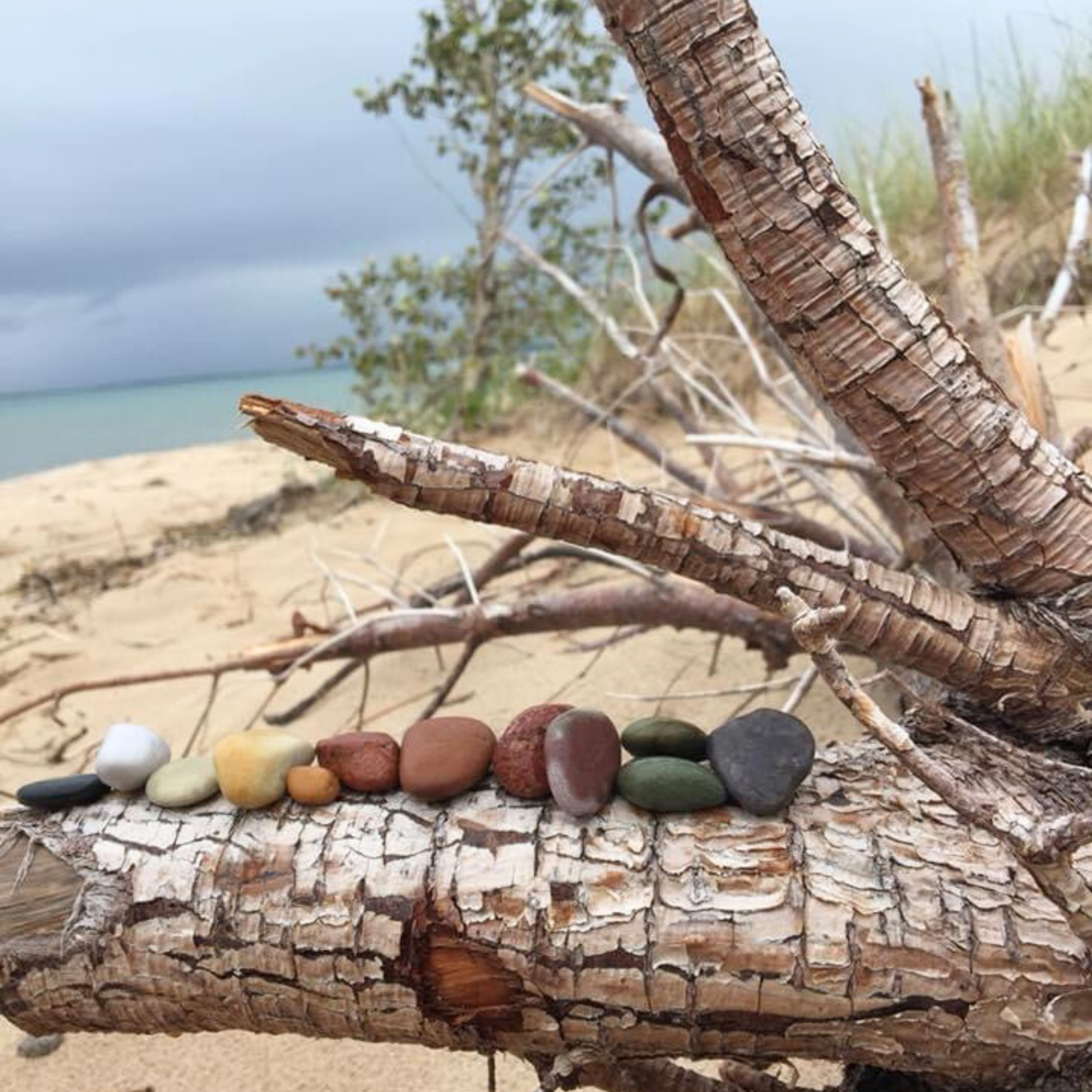 The Art of Walking Gallery Mateskon (5).png