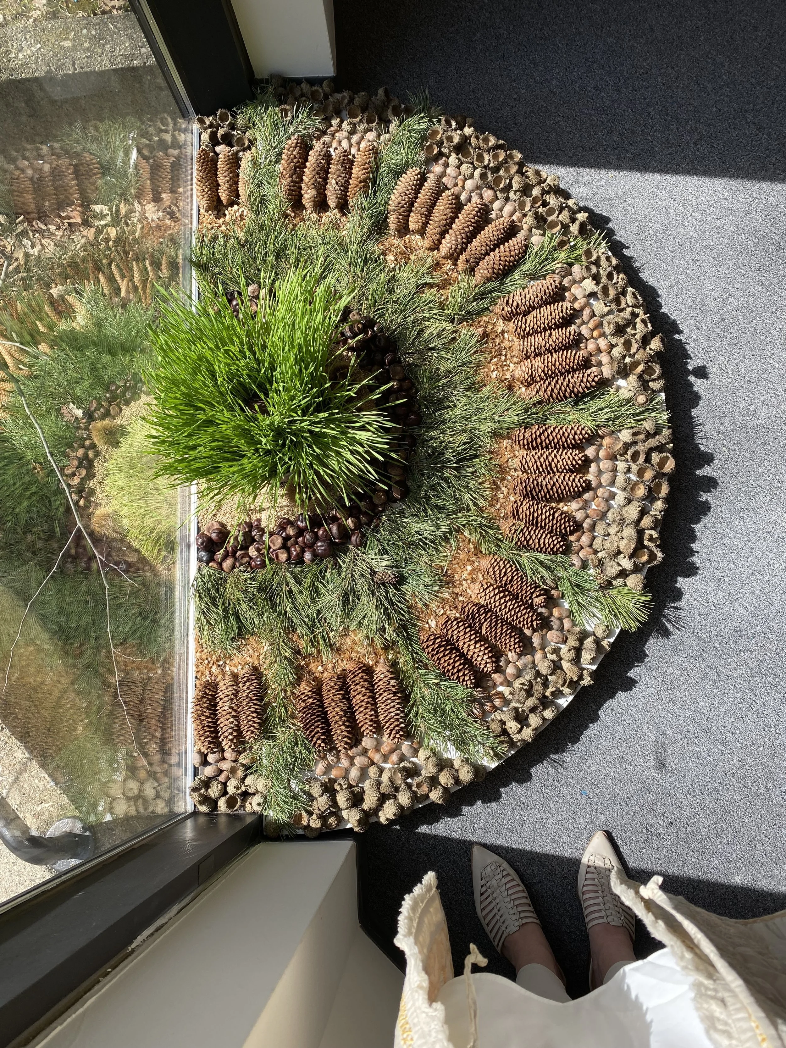 Beth Mateskon Mandala Art Exhibit Aquinas College.jpg