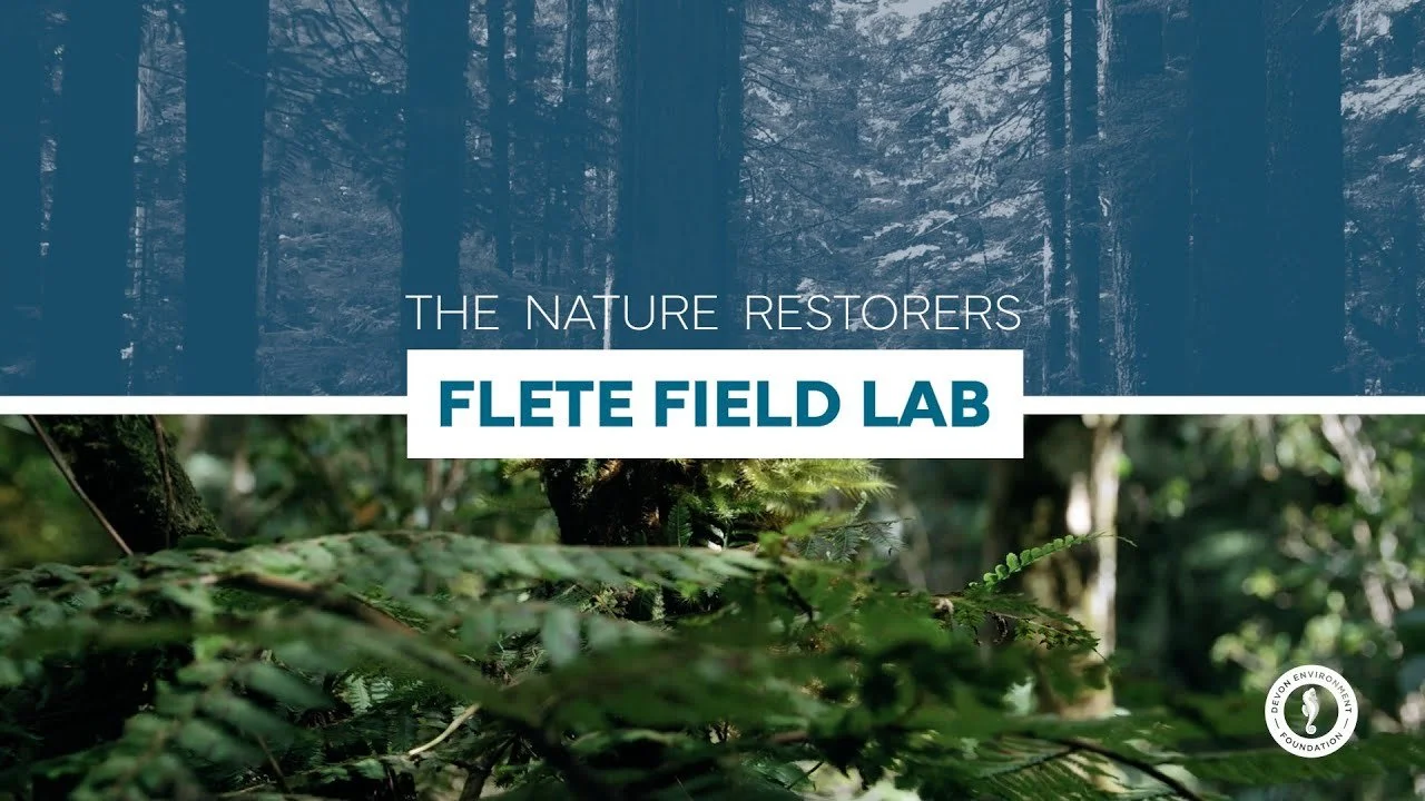 Flete Field Lab: Mycofiltration Trials