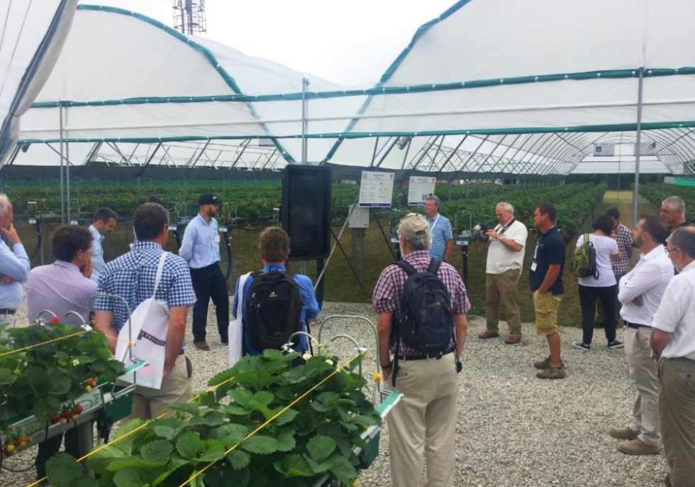 Holisitic Water for Horticulture