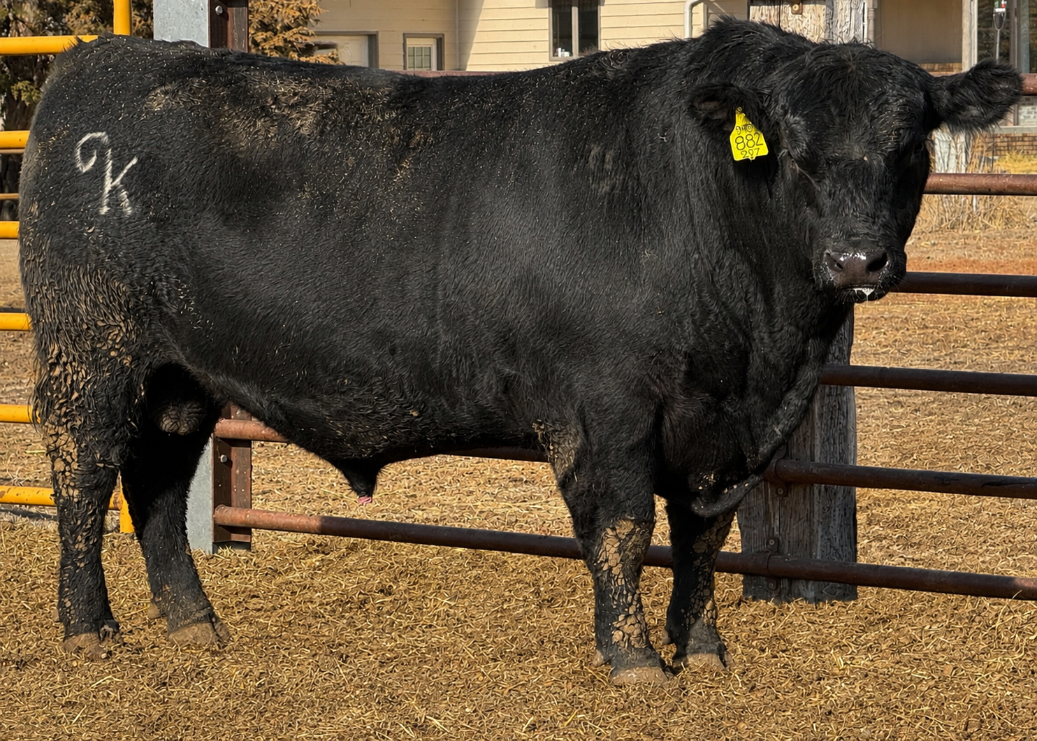   NITZ Midwest 882
AAA: 20617787 

Owned with Hidden Prairie Ranch
Platte, SD