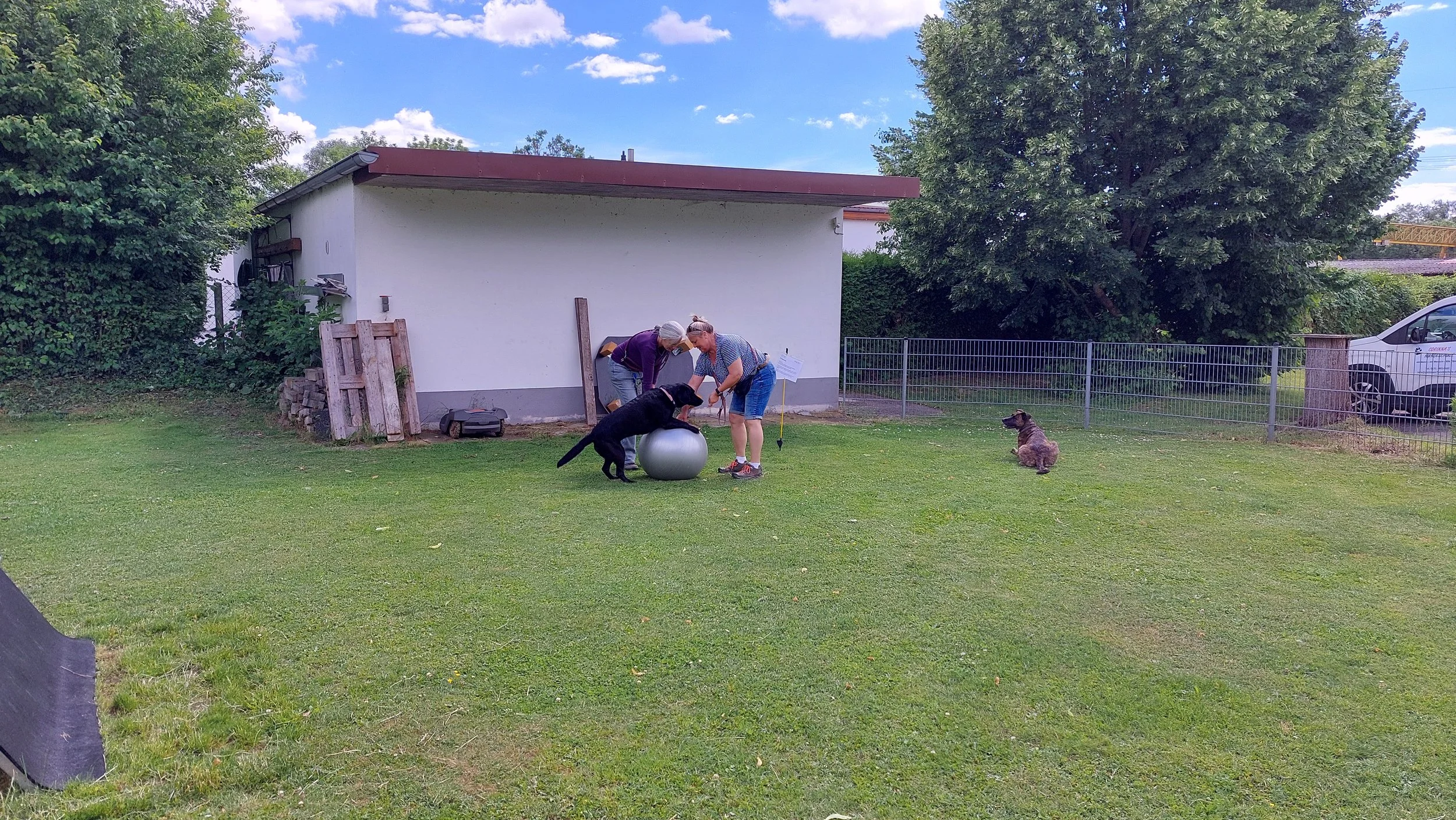20260605_153151.jpg