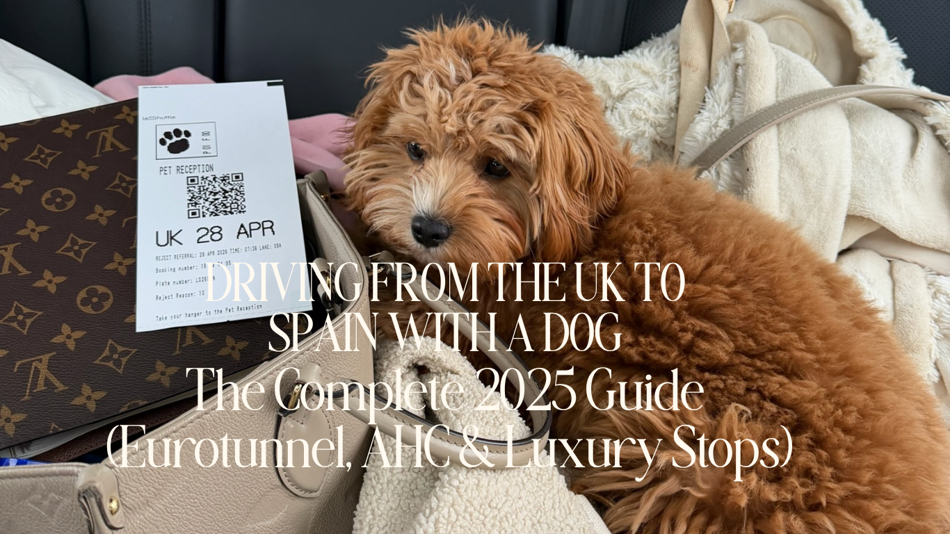Driving from the UK to Spain with a Dog — The Complete 2025 Guide (Eurotunnel, AHC &amp; Luxury Stops)