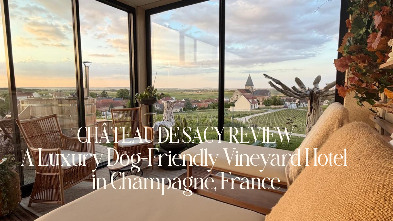 Château de Sacy Review — A Luxury Dog-Friendly Vineyard Hotel in Champagne, France